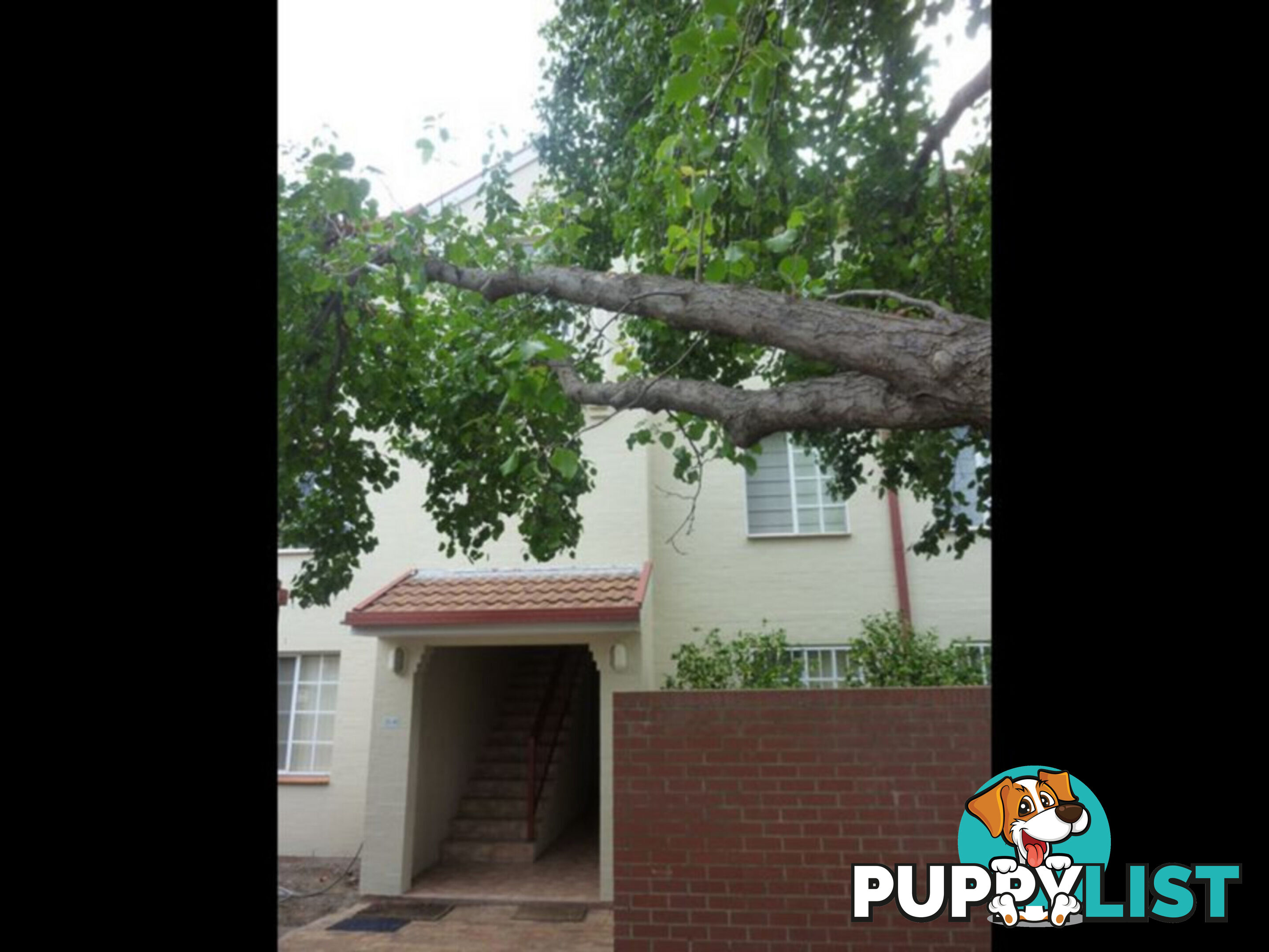 37/9 Howitt Street KINGSTON ACT 2604