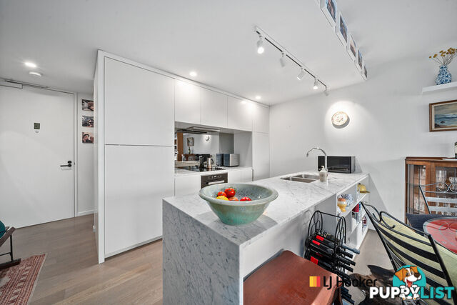 72/46 Honeysett View KINGSTON ACT 2604