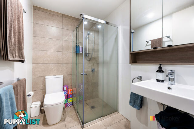 65/115 Canberra Avenue GRIFFITH ACT 2603
