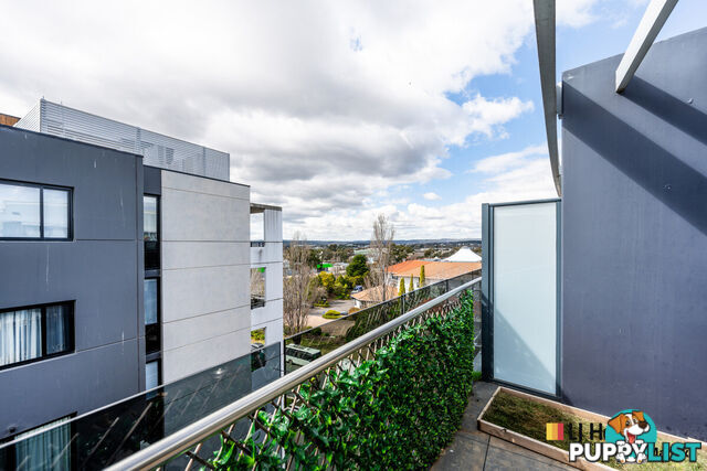65/115 Canberra Avenue GRIFFITH ACT 2603