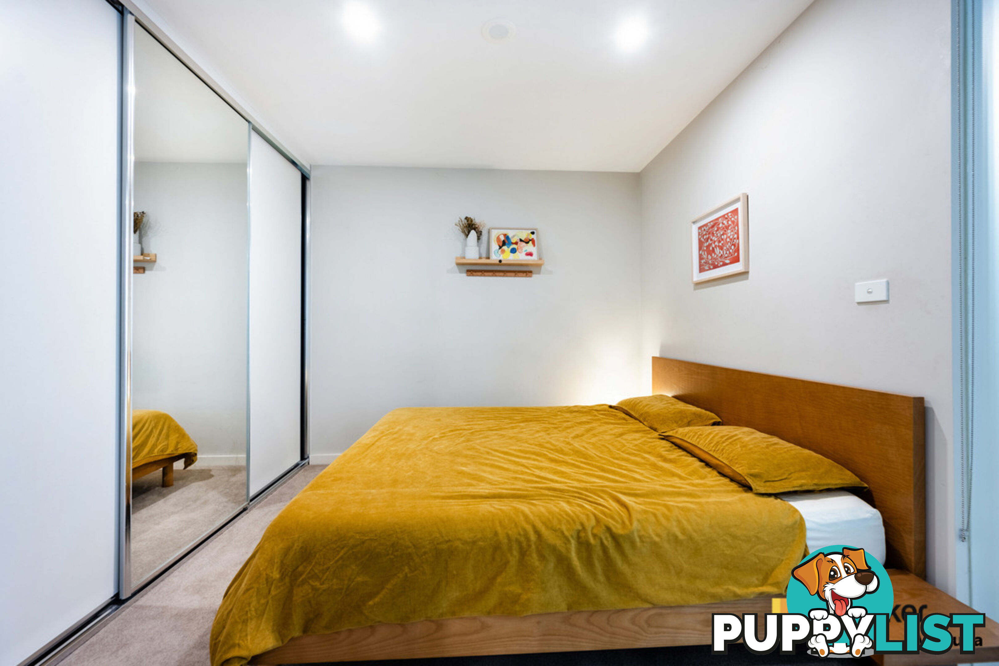 65/115 Canberra Avenue GRIFFITH ACT 2603