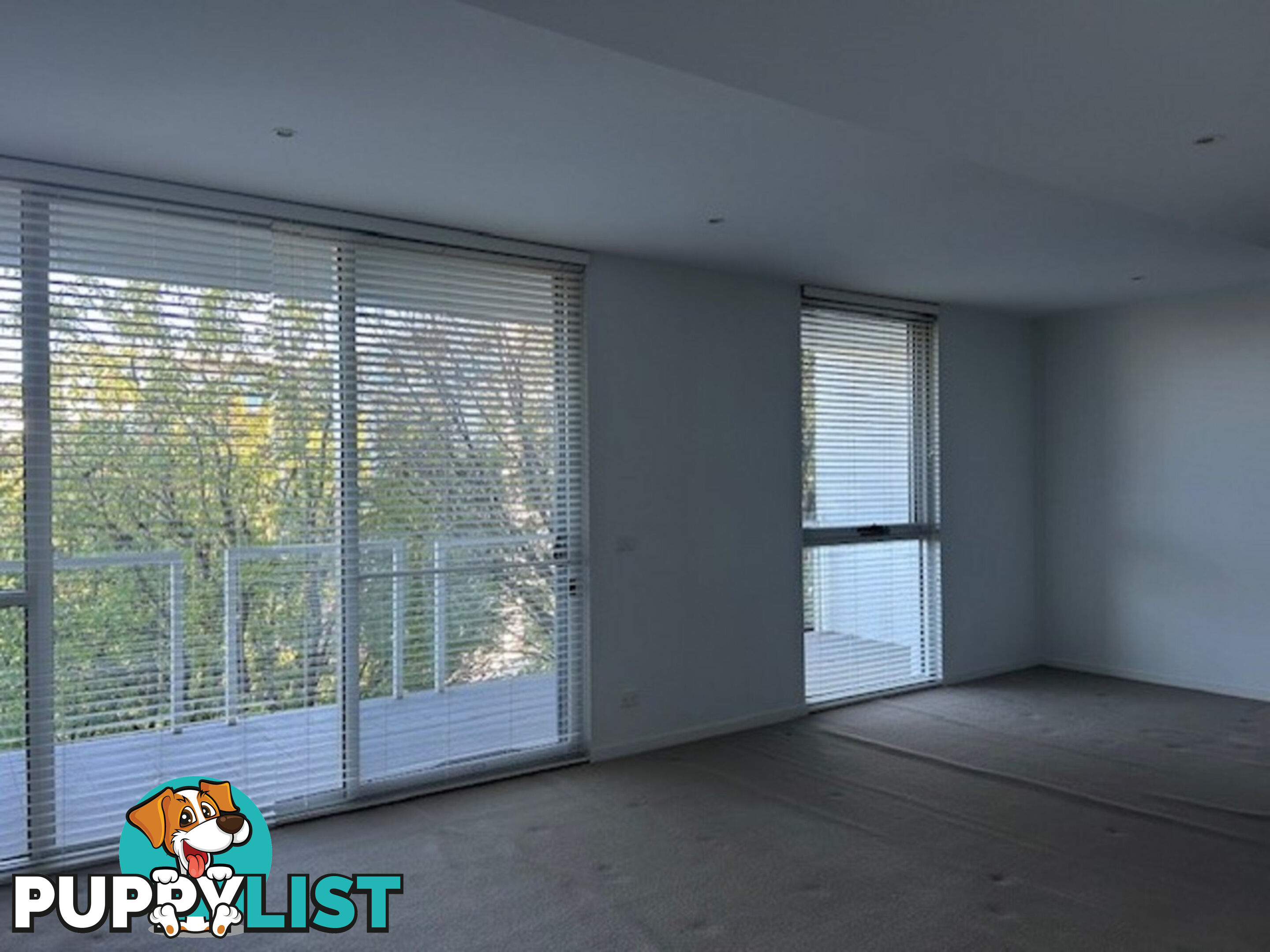 55/41 Blackall Street BARTON ACT 2600