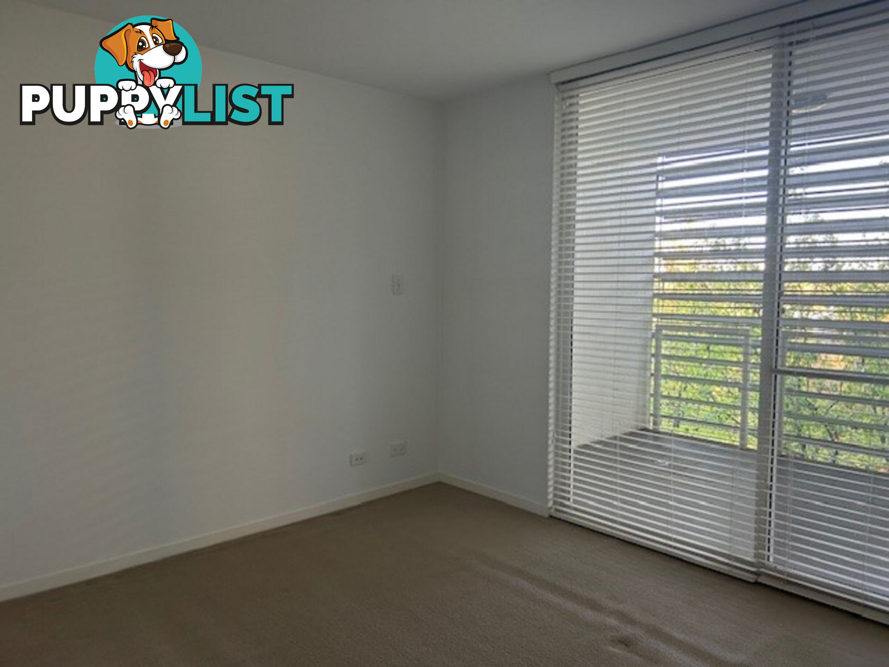 55/41 Blackall Street BARTON ACT 2600