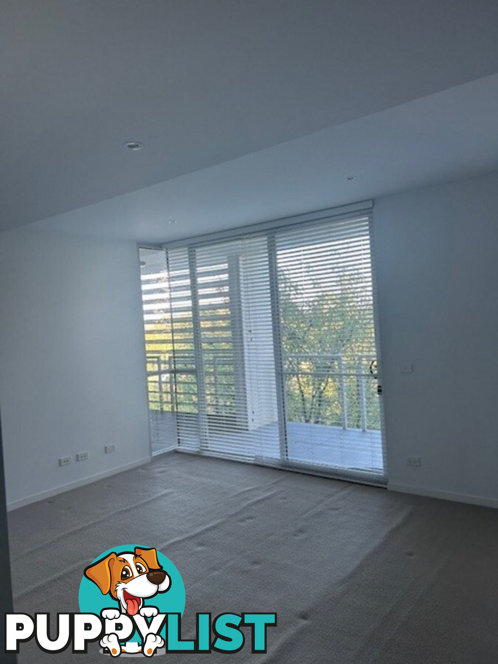 55/41 Blackall Street BARTON ACT 2600