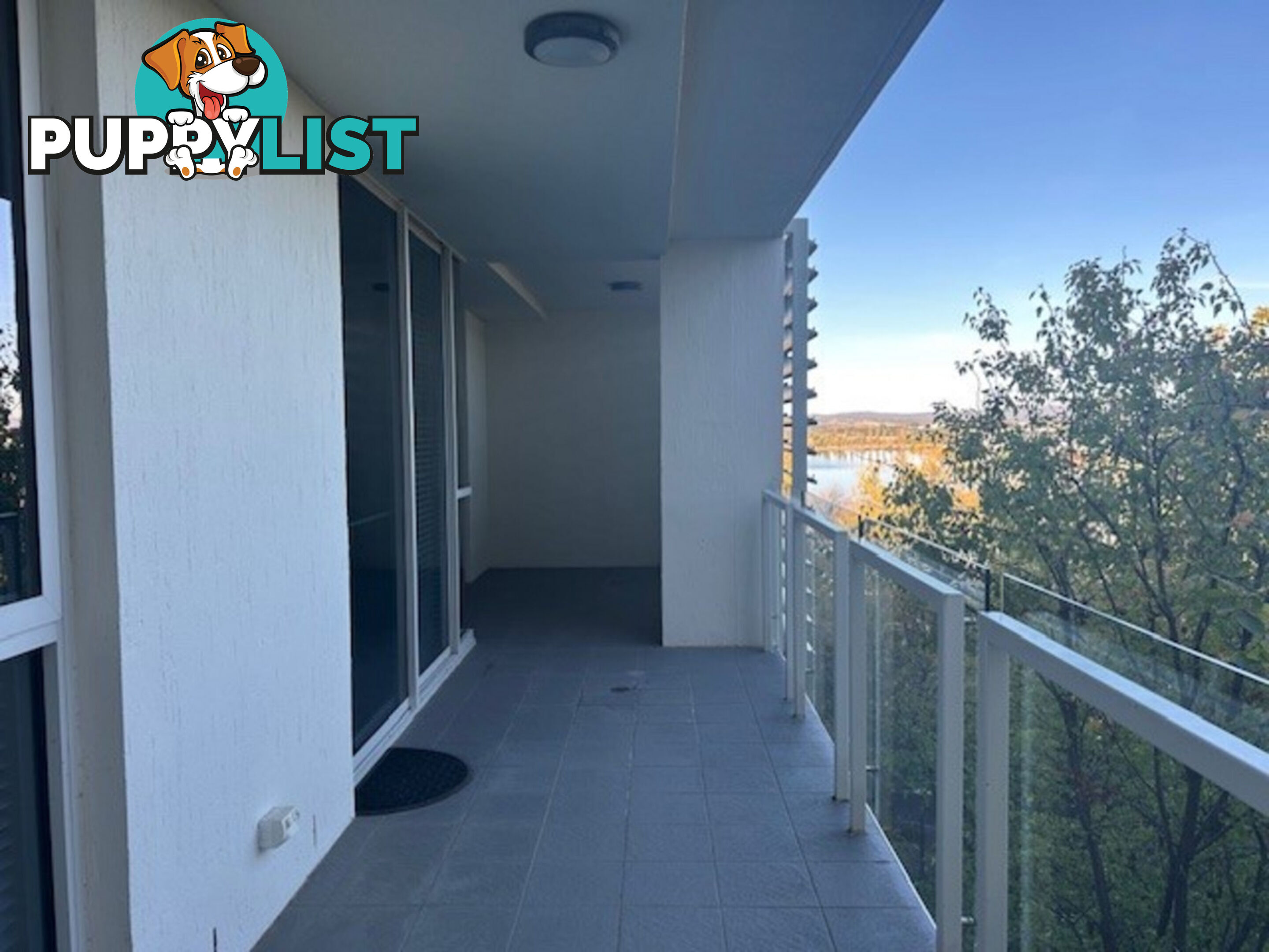55/41 Blackall Street BARTON ACT 2600