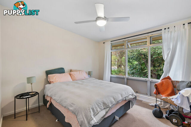 9 Hartog Street GRIFFITH ACT 2603