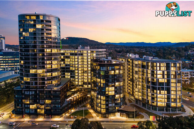615/6 Furzer Street PHILLIP ACT 2606