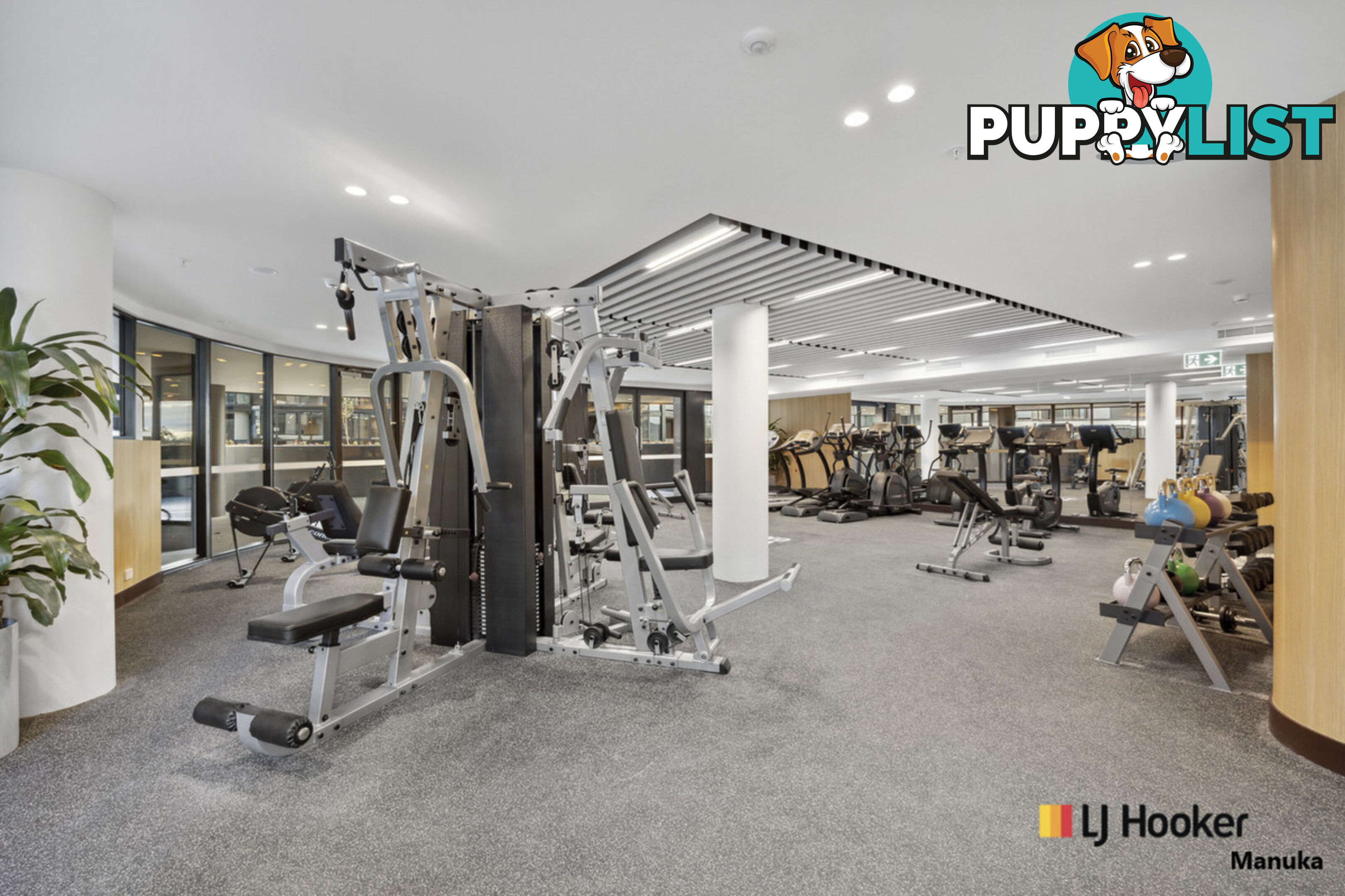 615/6 Furzer Street PHILLIP ACT 2606