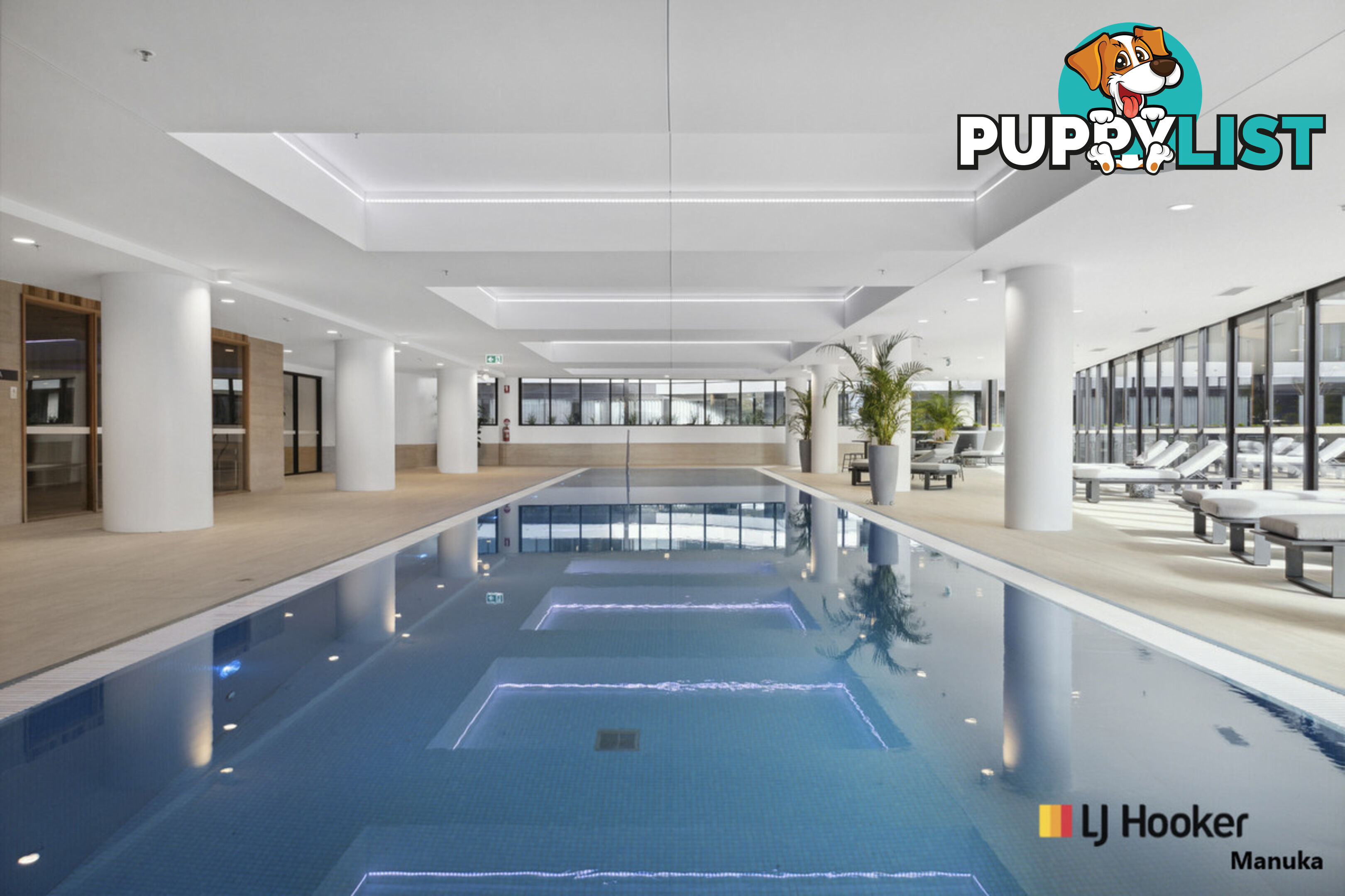 615/6 Furzer Street PHILLIP ACT 2606
