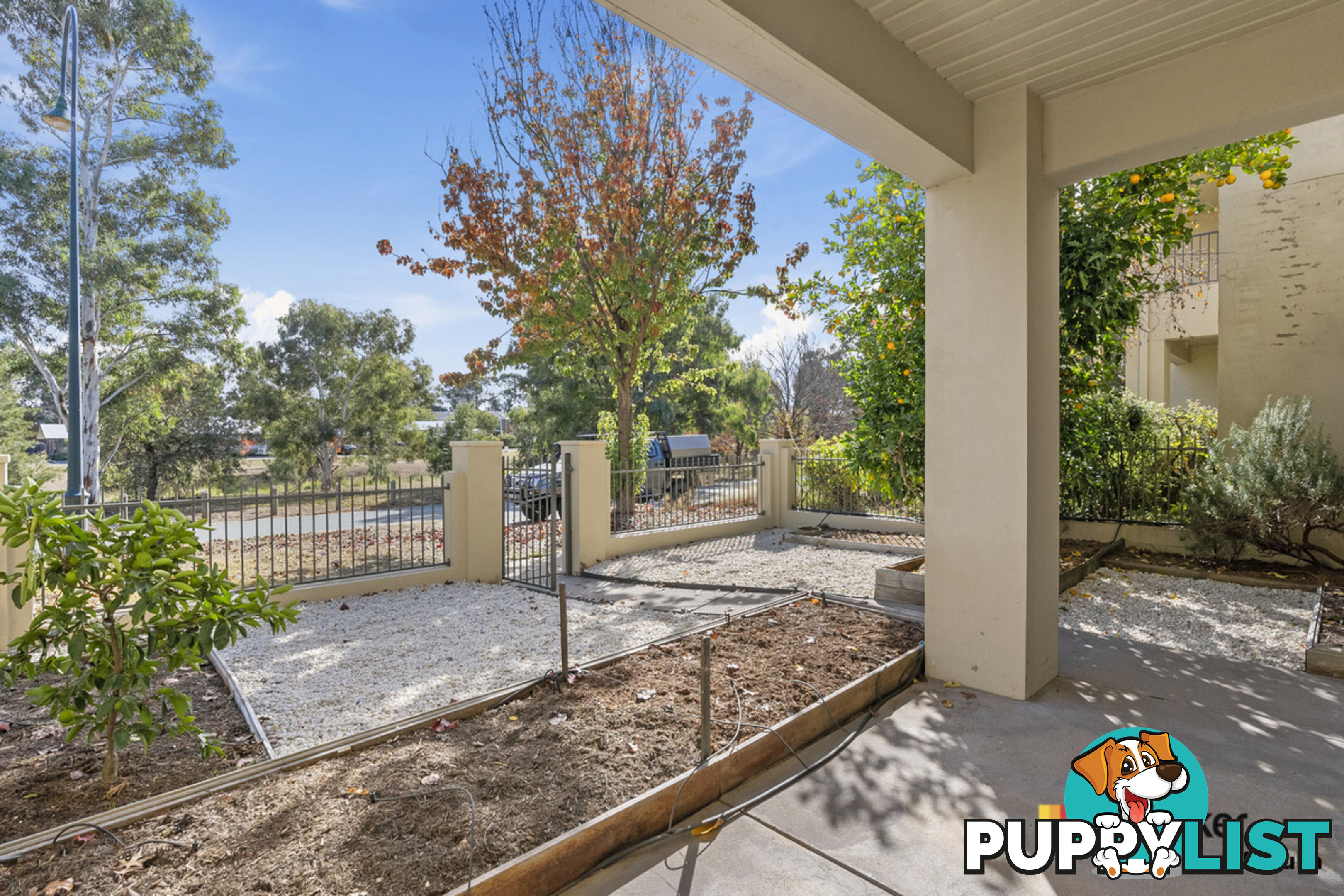 23 Katoomba Street HARRISON ACT 2914