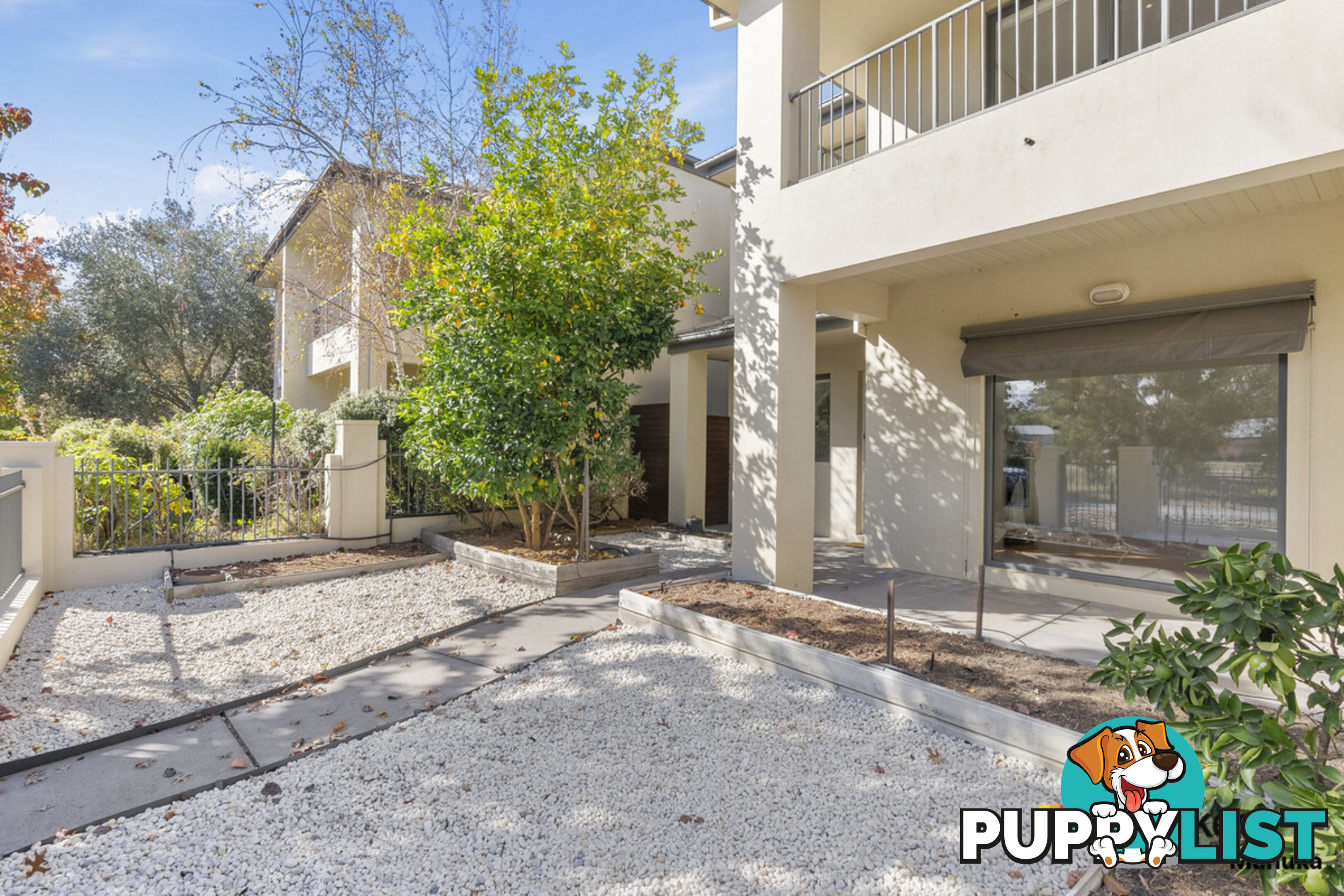 23 Katoomba Street HARRISON ACT 2914