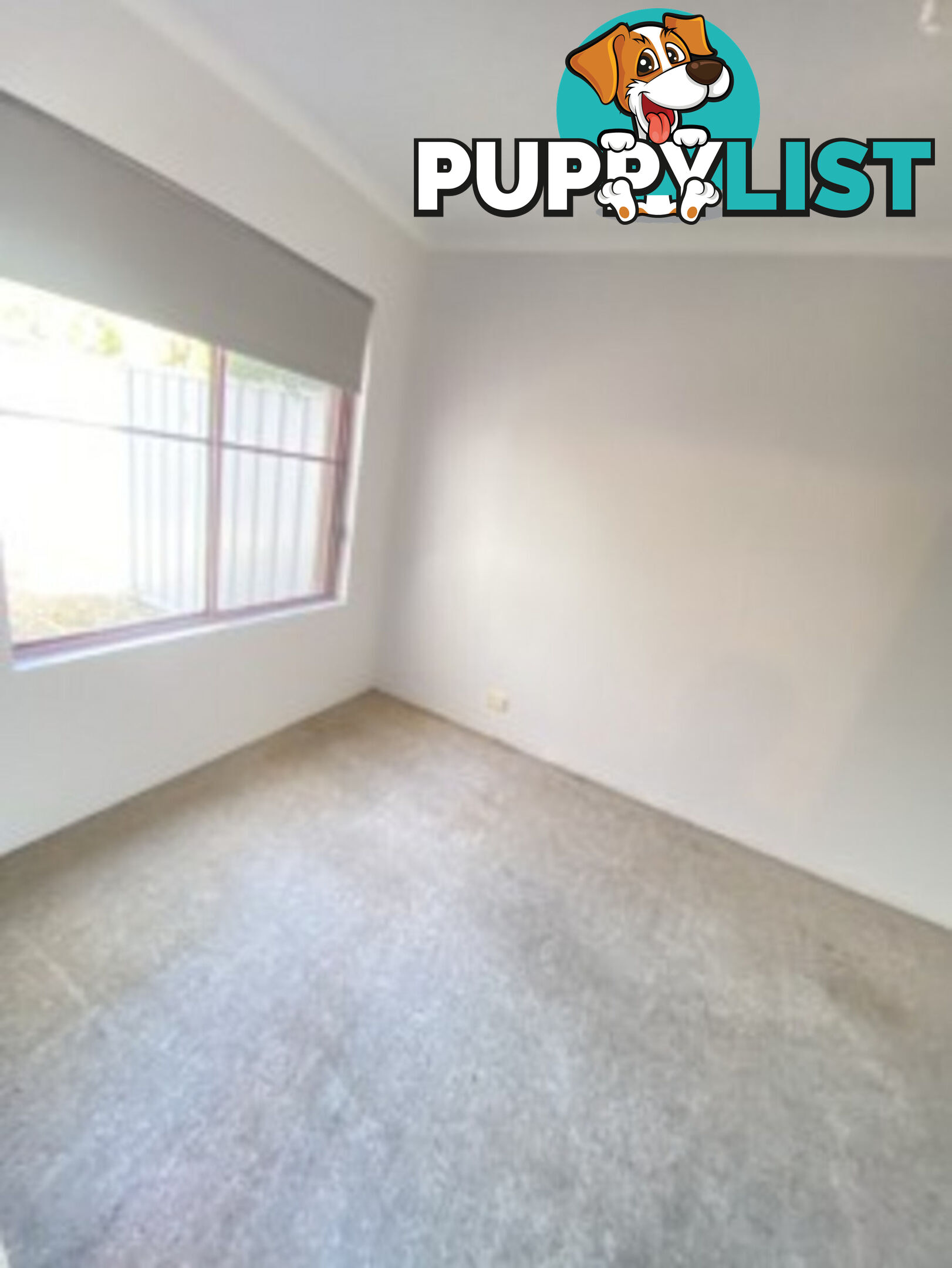 2/15 Howitt Street KINGSTON ACT 2604