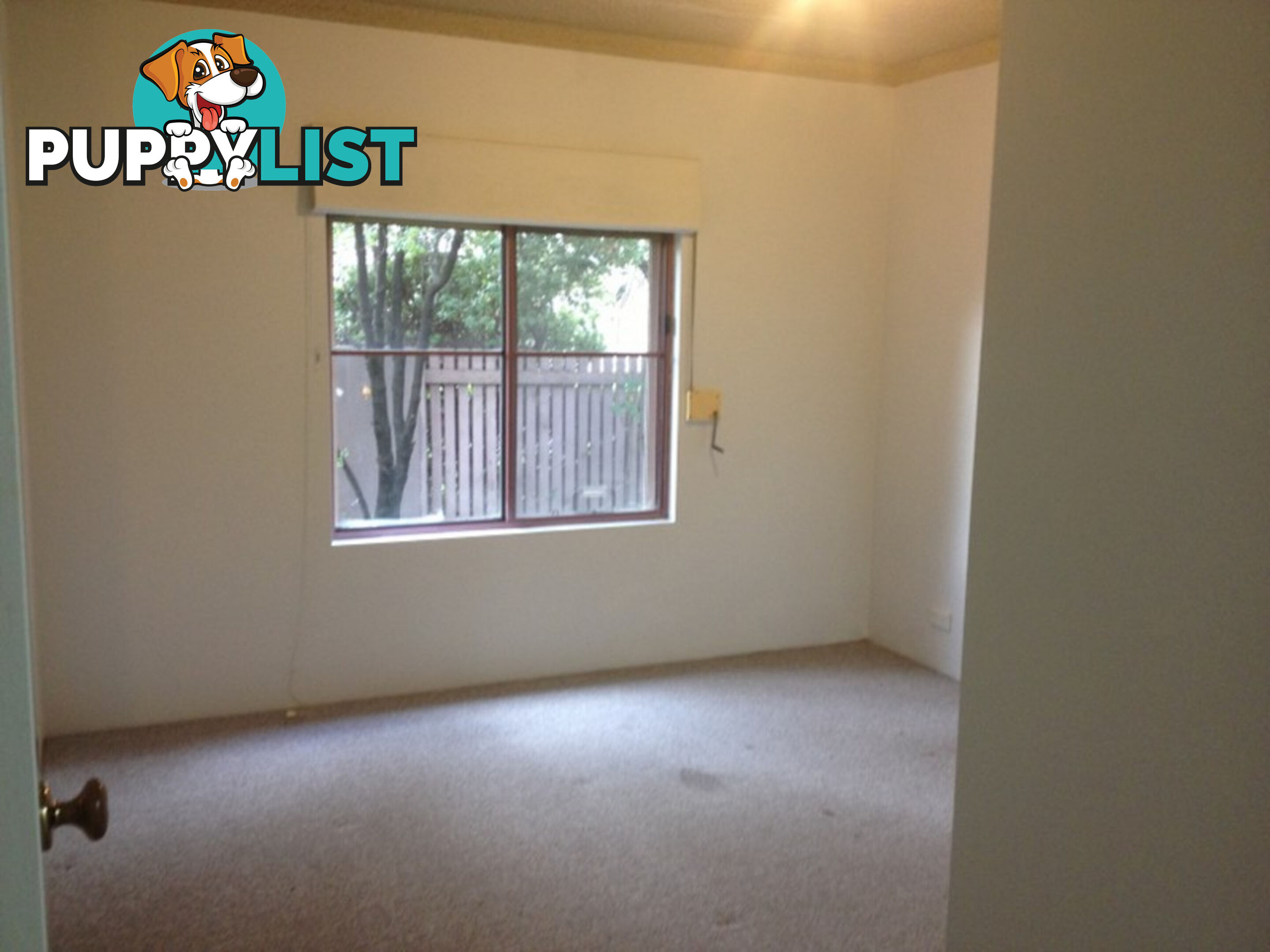 2/15 Howitt Street KINGSTON ACT 2604