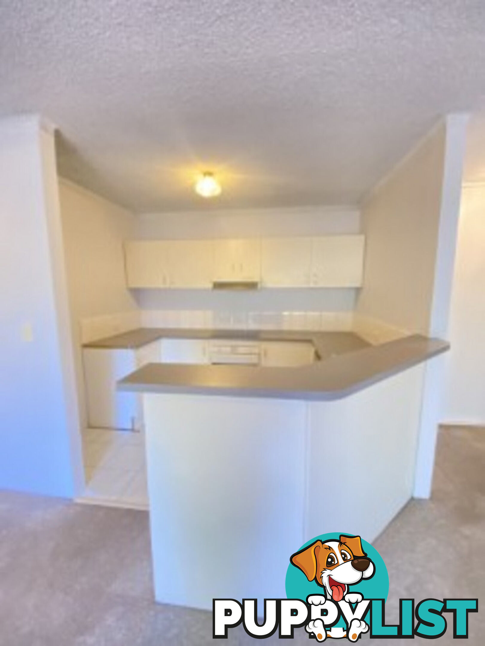 2/15 Howitt Street KINGSTON ACT 2604