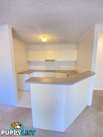 2/15 Howitt Street KINGSTON ACT 2604