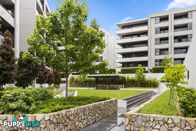 81/44 Macquarie Street BARTON ACT 2600
