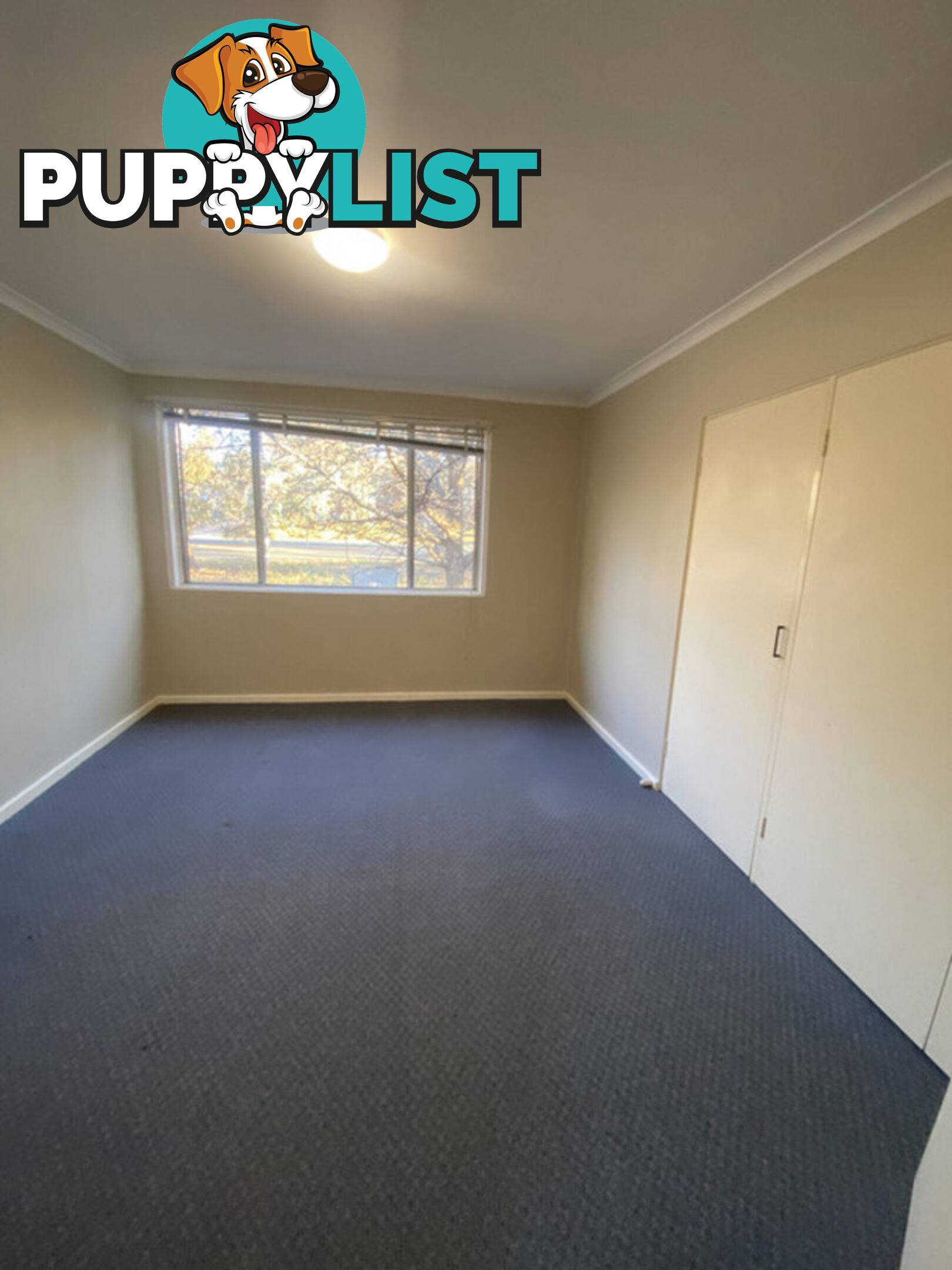1/62 Belconnen Way PAGE ACT 2614