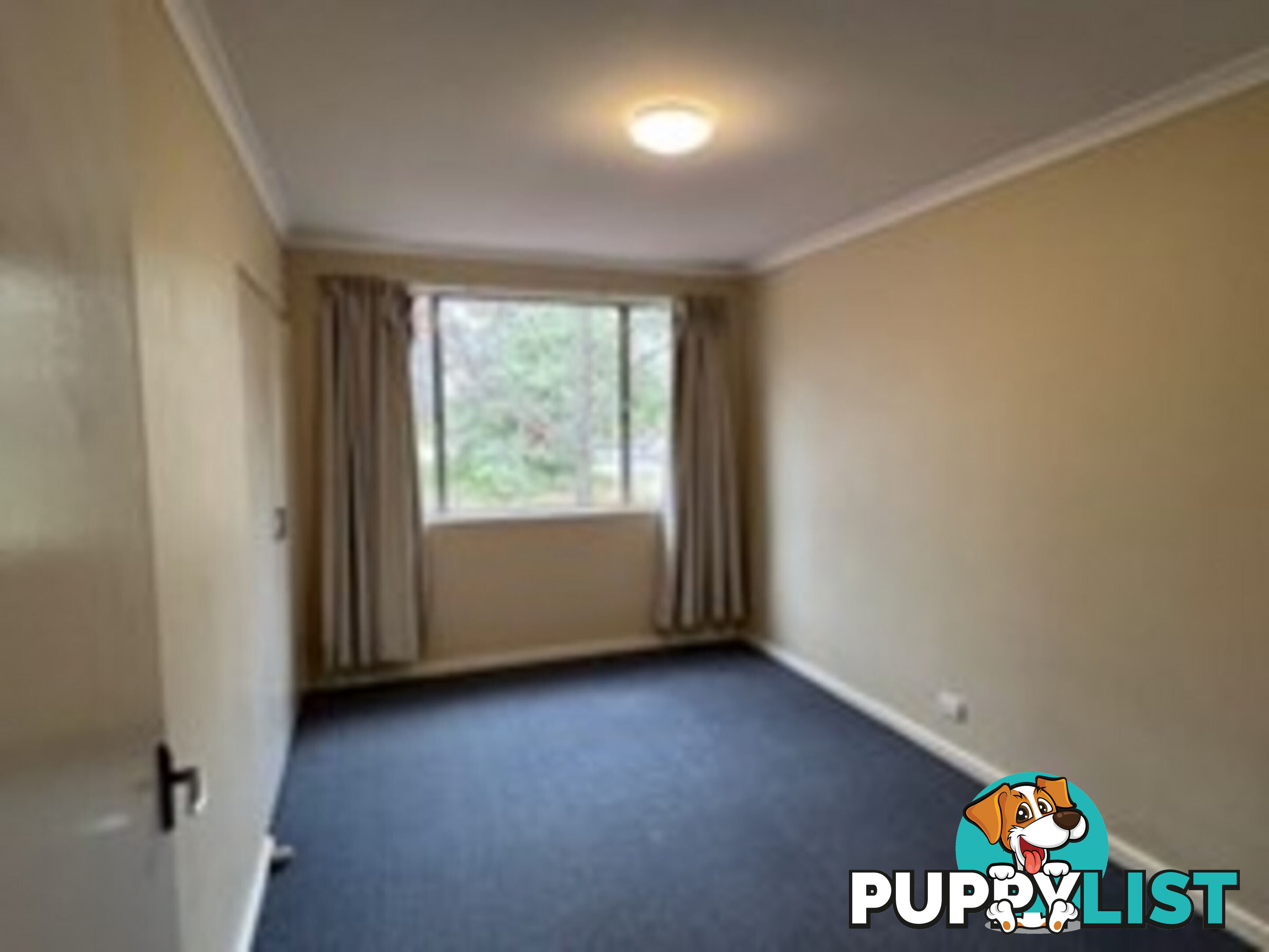 1/62 Belconnen Way PAGE ACT 2614