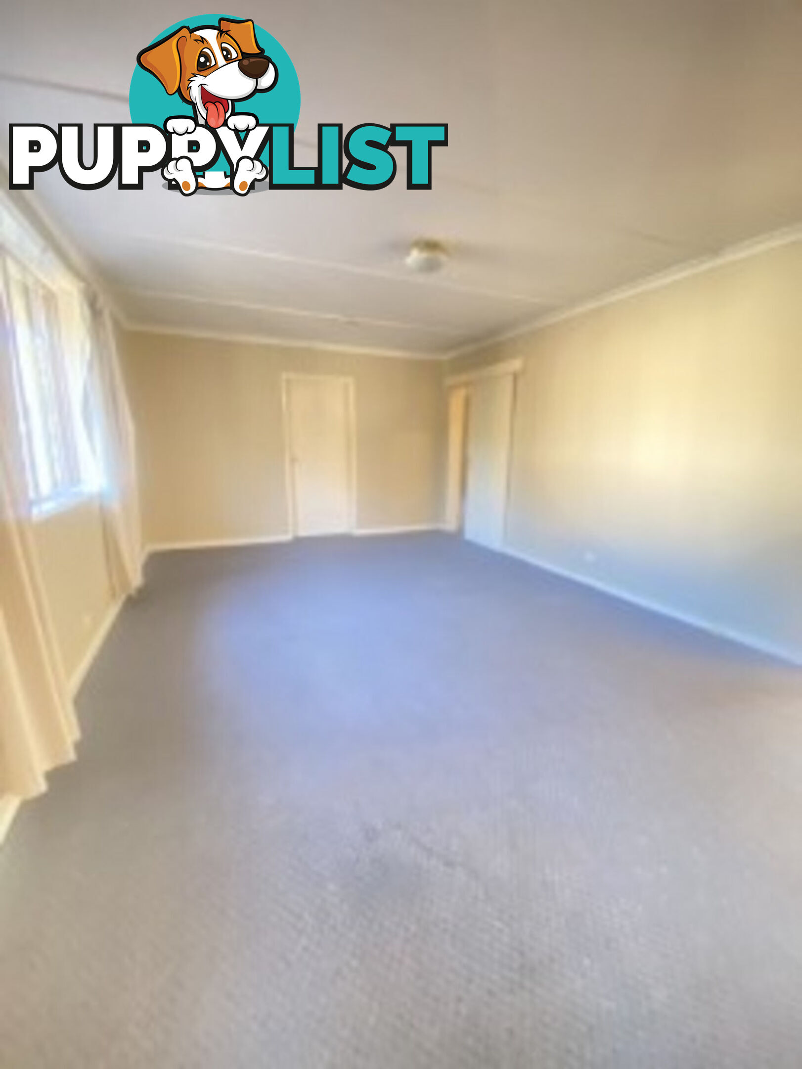 1/62 Belconnen Way PAGE ACT 2614