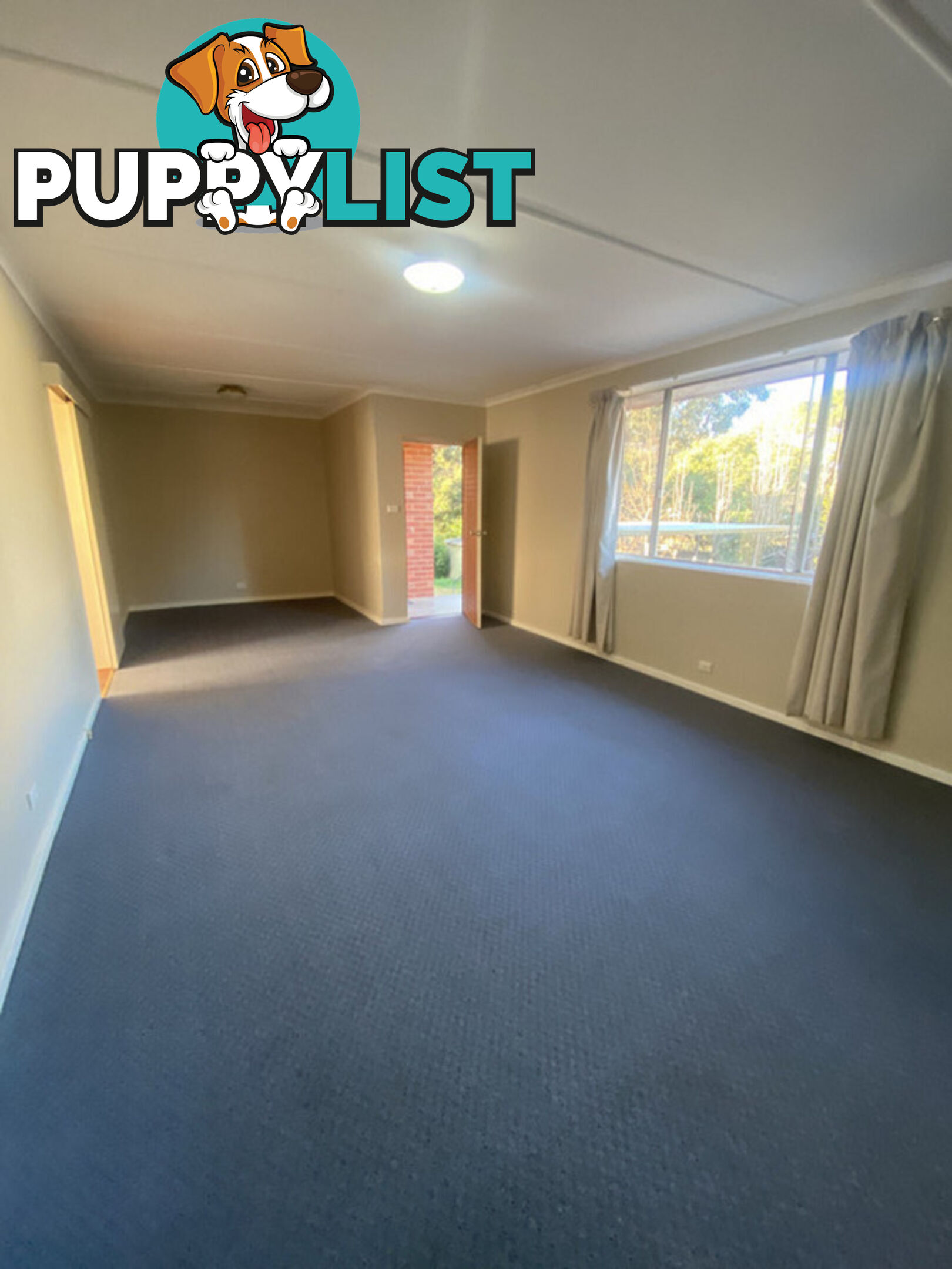 1/62 Belconnen Way PAGE ACT 2614