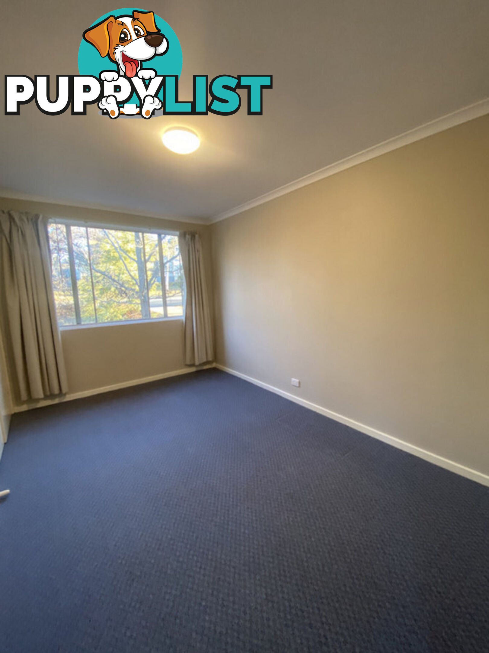 1/62 Belconnen Way PAGE ACT 2614