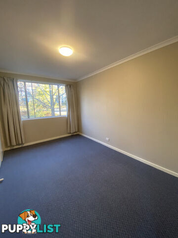 1/62 Belconnen Way PAGE ACT 2614