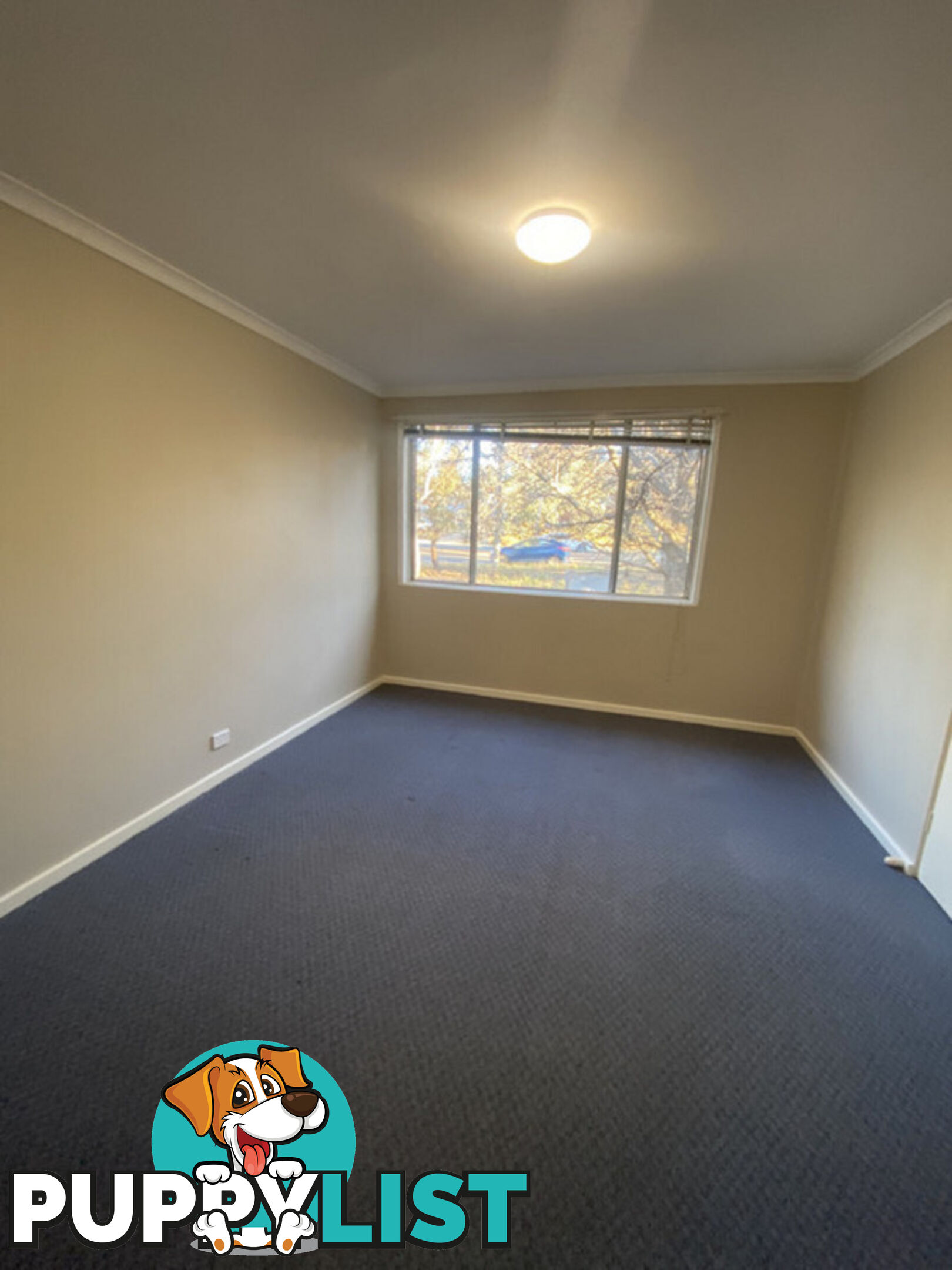 1/62 Belconnen Way PAGE ACT 2614
