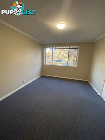 1/62 Belconnen Way PAGE ACT 2614
