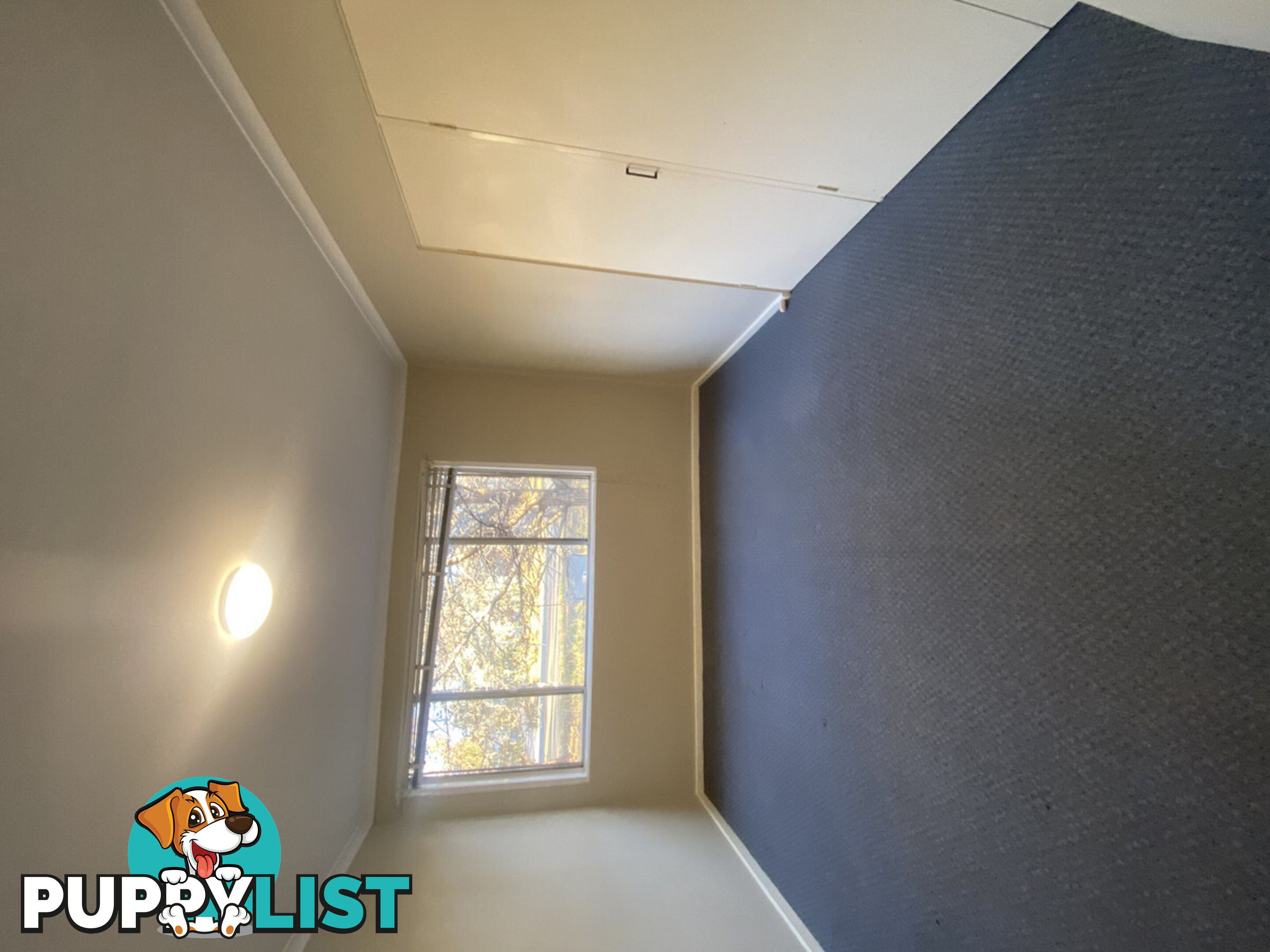 1/62 Belconnen Way PAGE ACT 2614