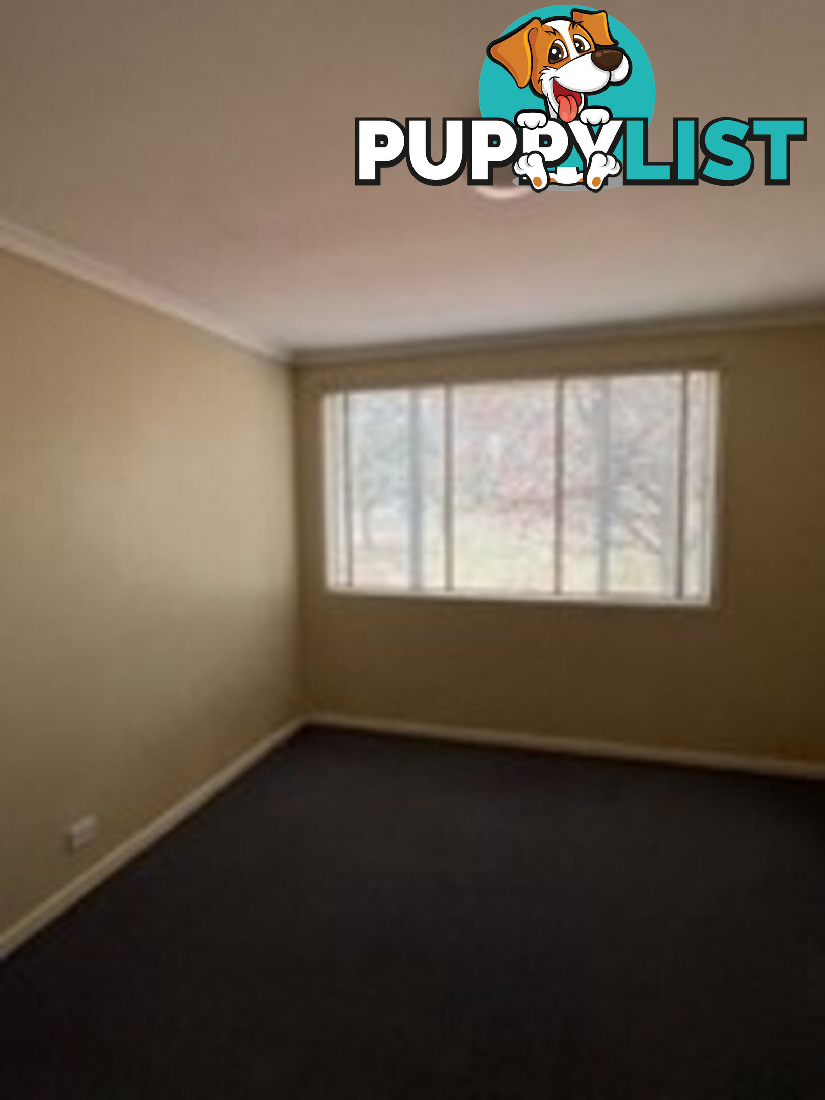 1/62 Belconnen Way PAGE ACT 2614