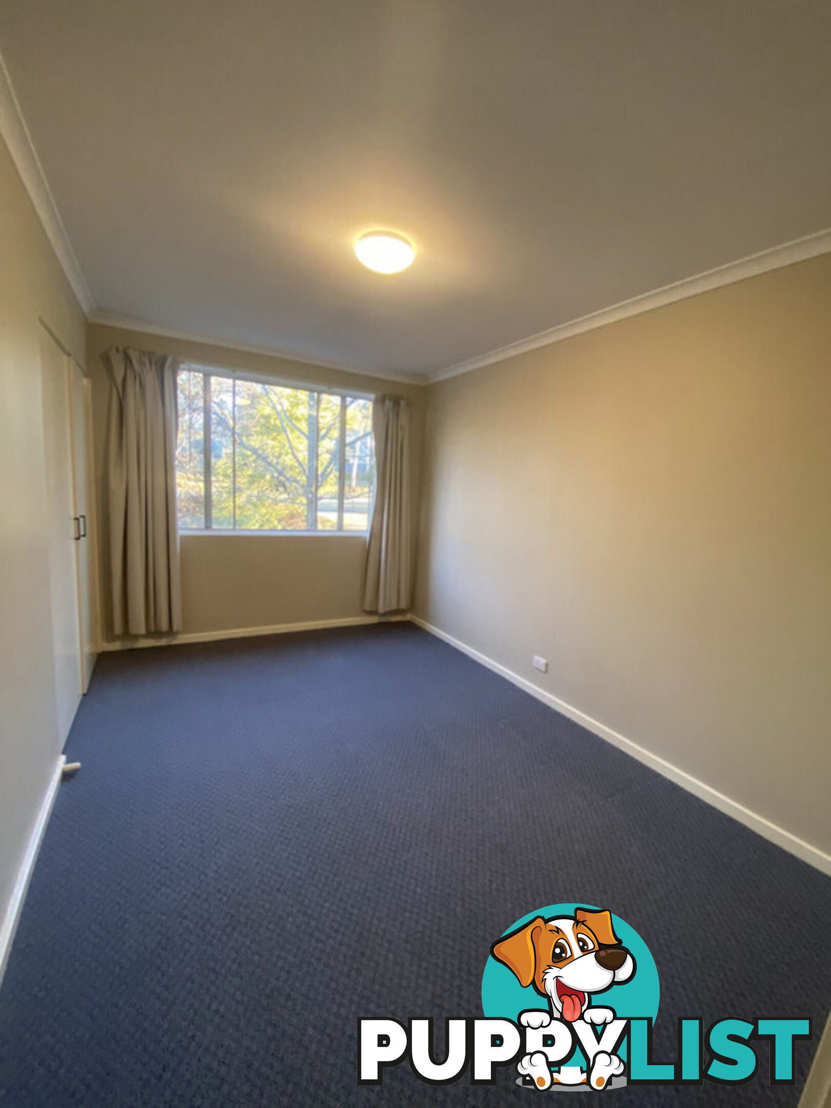 1/62 Belconnen Way PAGE ACT 2614