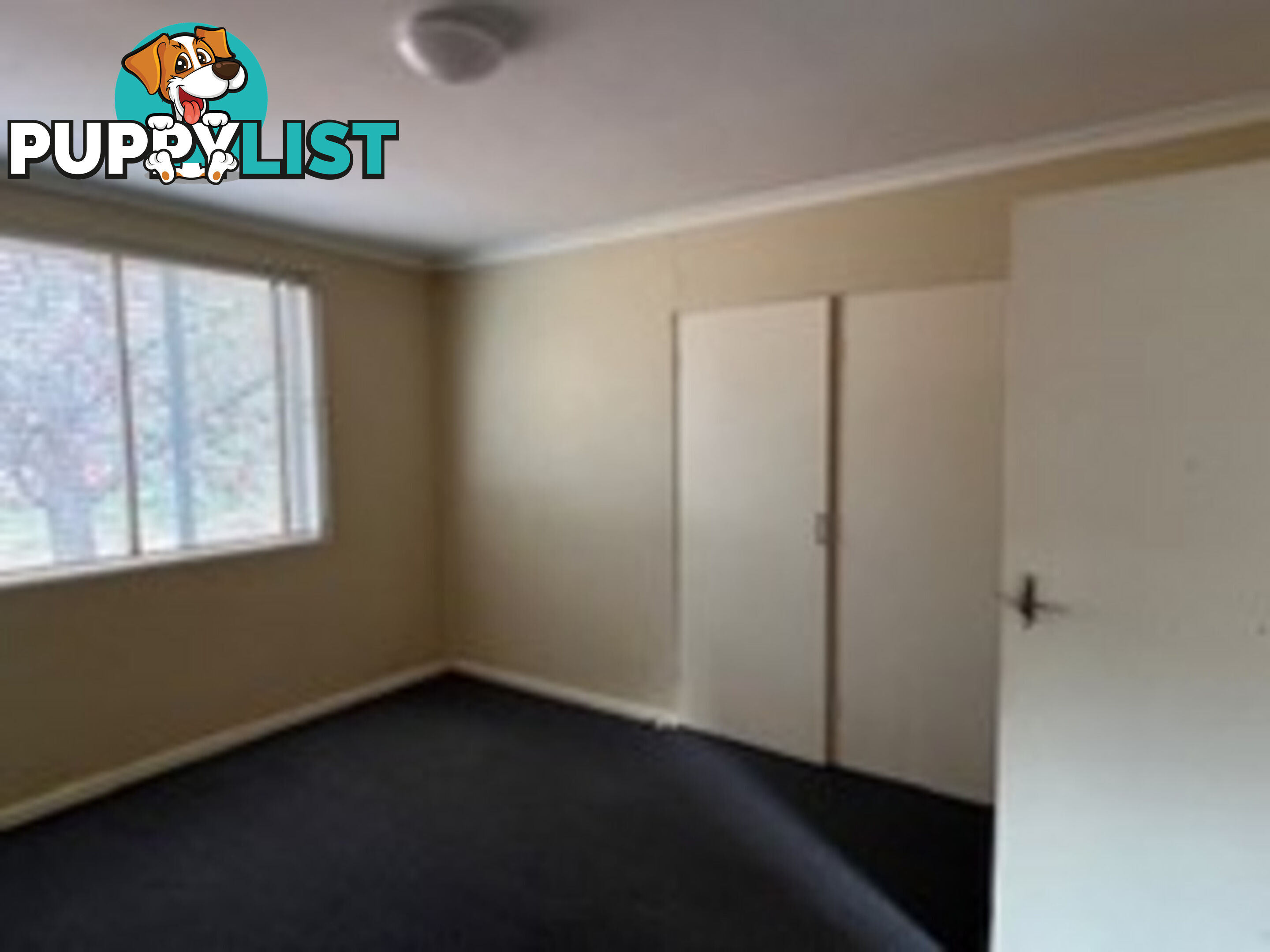 1/62 Belconnen Way PAGE ACT 2614
