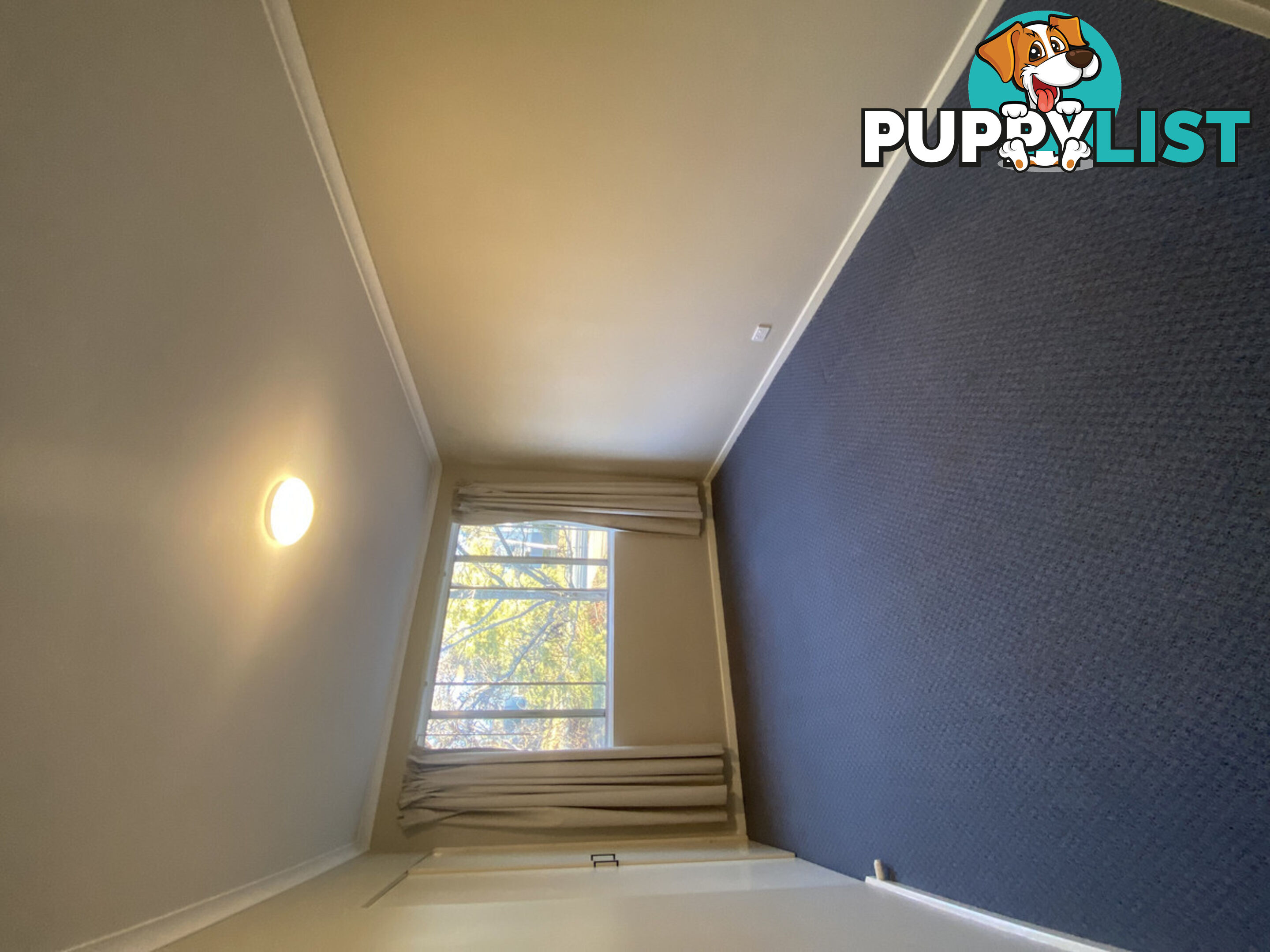 1/62 Belconnen Way PAGE ACT 2614