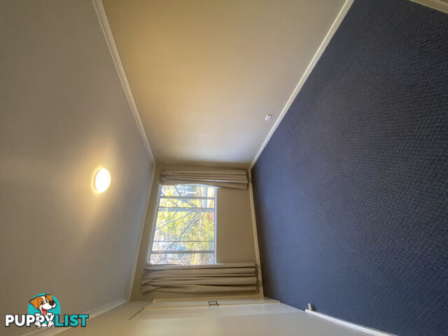 1/62 Belconnen Way PAGE ACT 2614