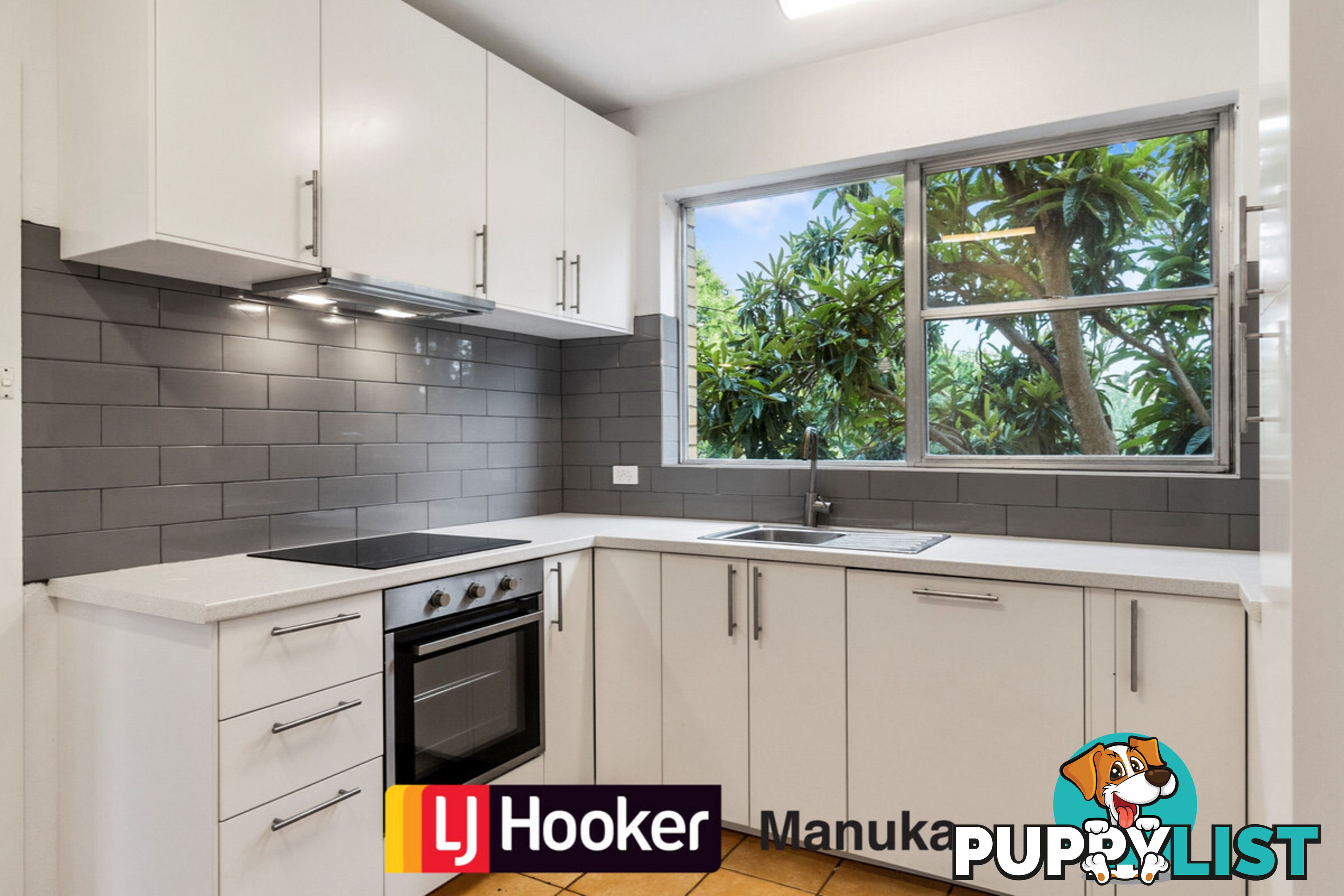 38 Discovery Street RED HILL ACT 2603