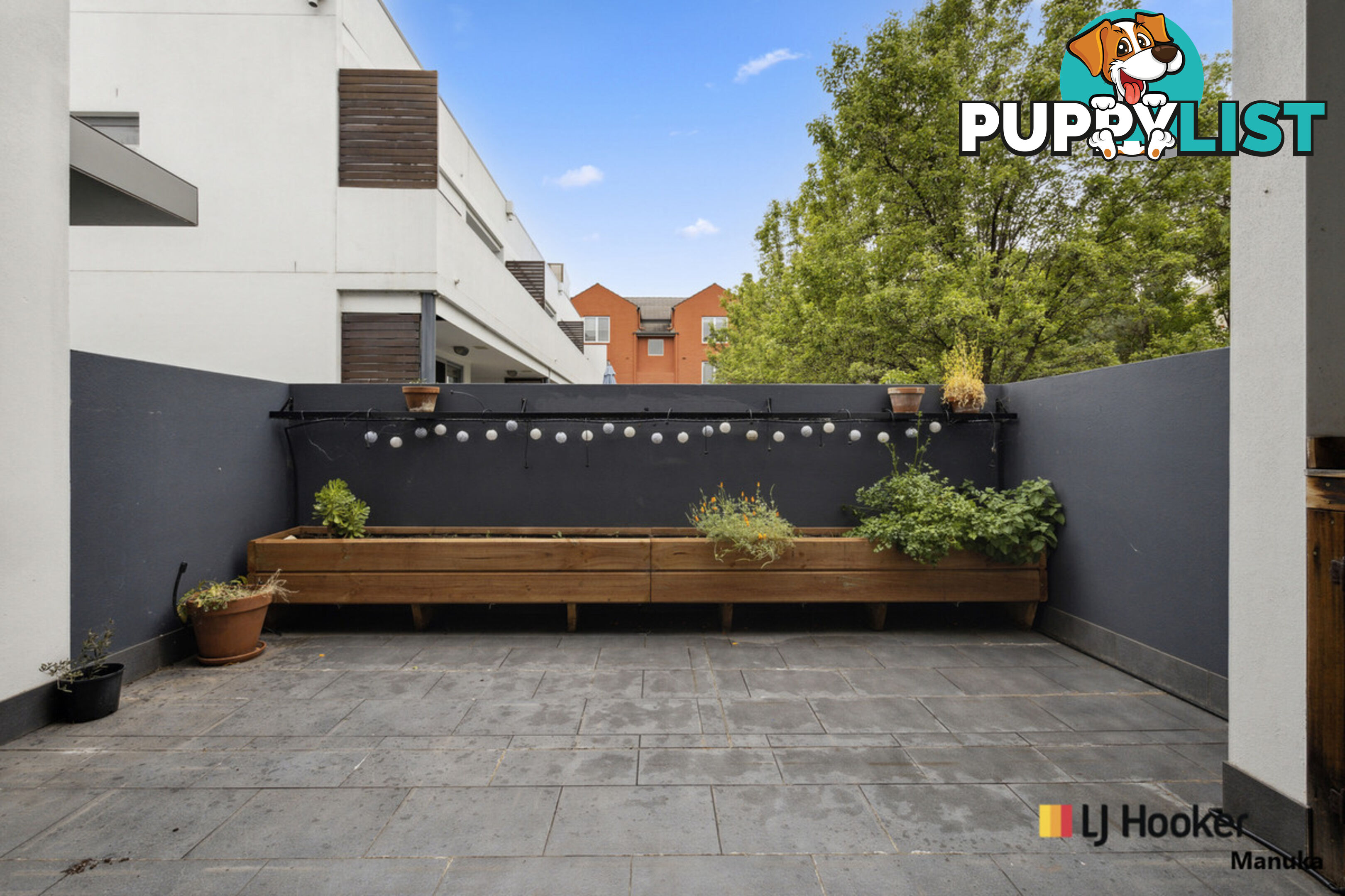 19/10 Macpherson Street O'CONNOR ACT 2602