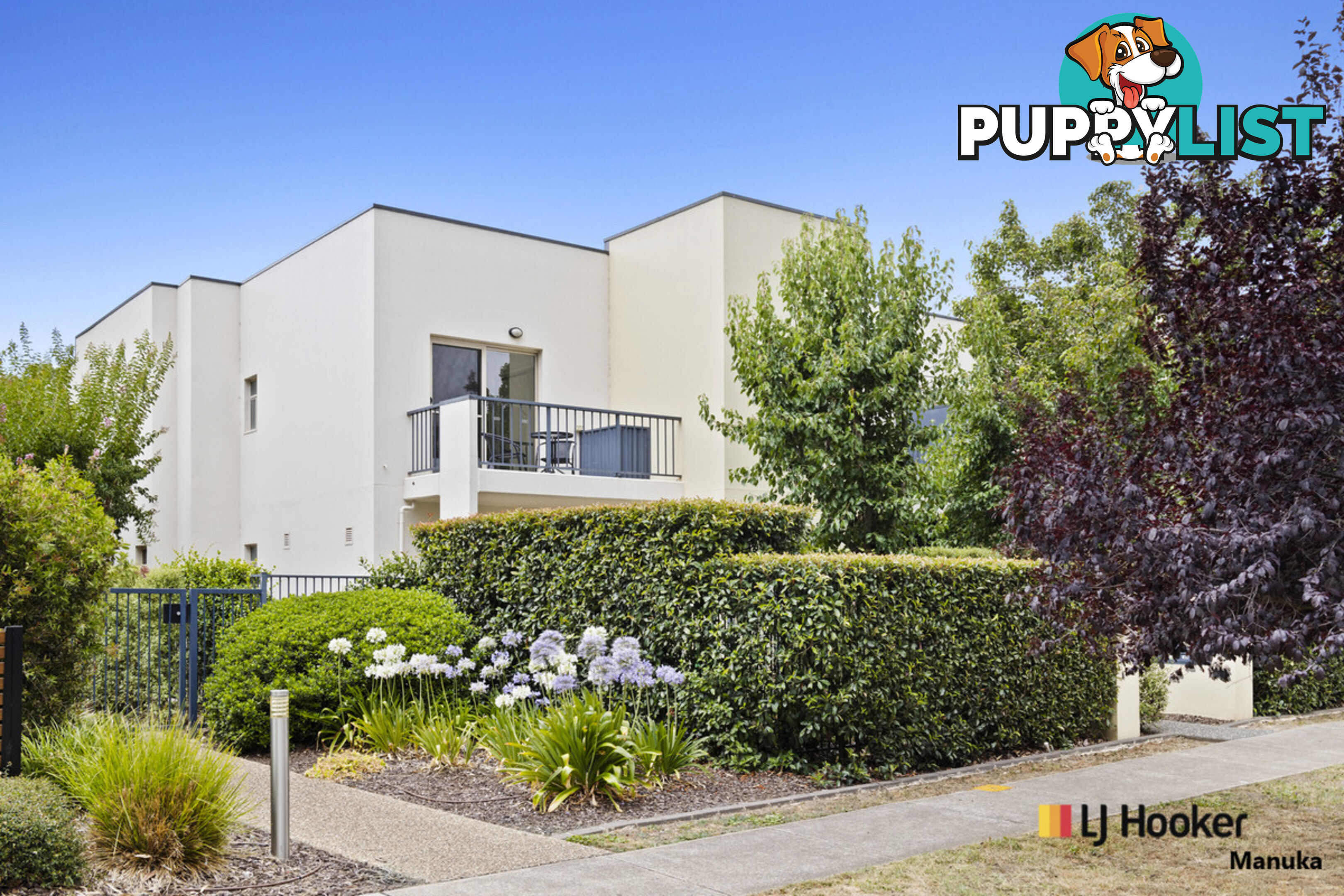 1/15 Oliver Street LYNEHAM ACT 2602