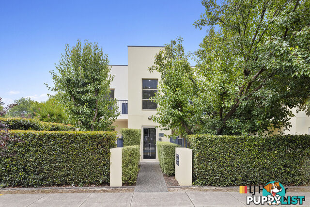 1/15 Oliver Street LYNEHAM ACT 2602