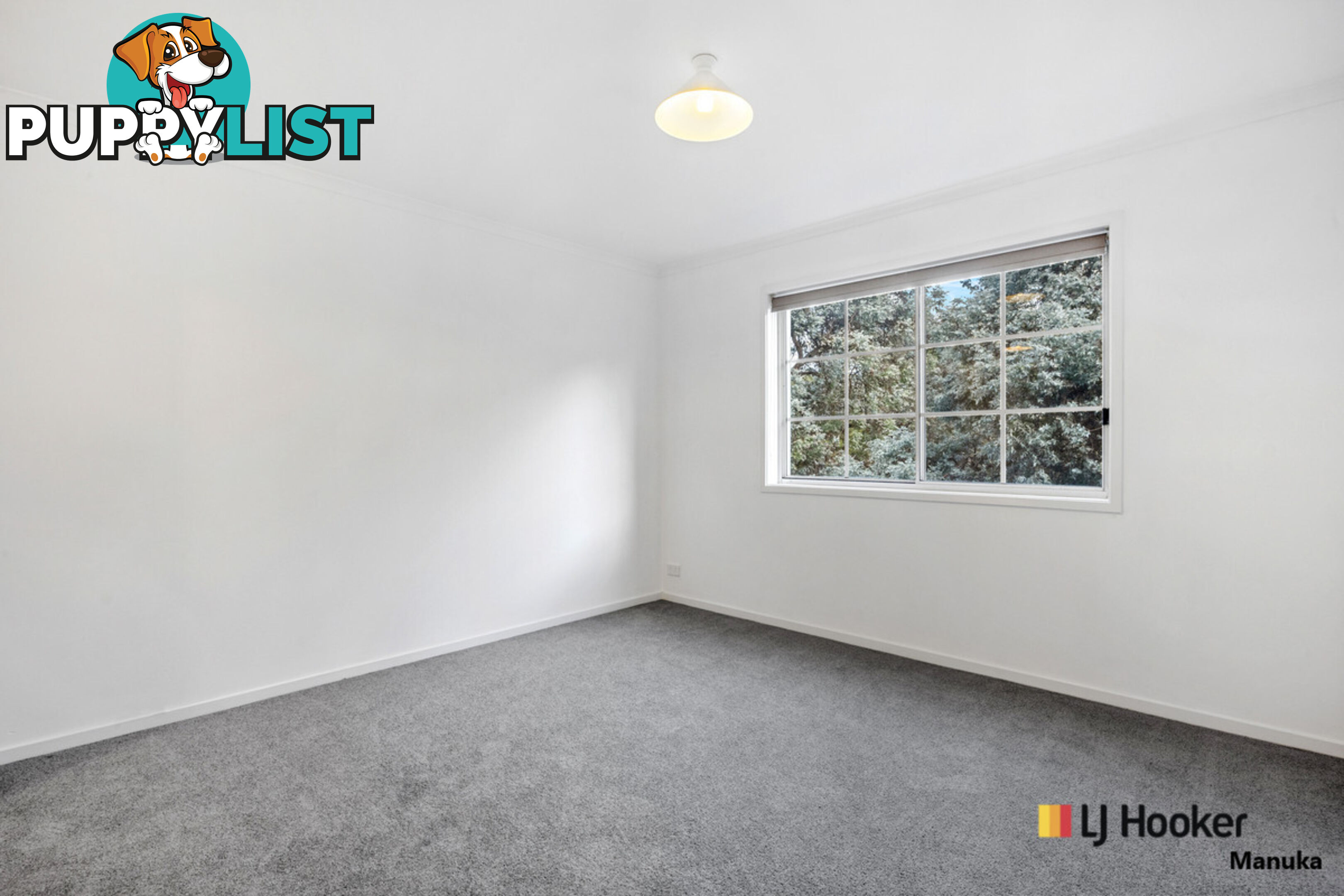 25/60 Henty Street BRADDON ACT 2612