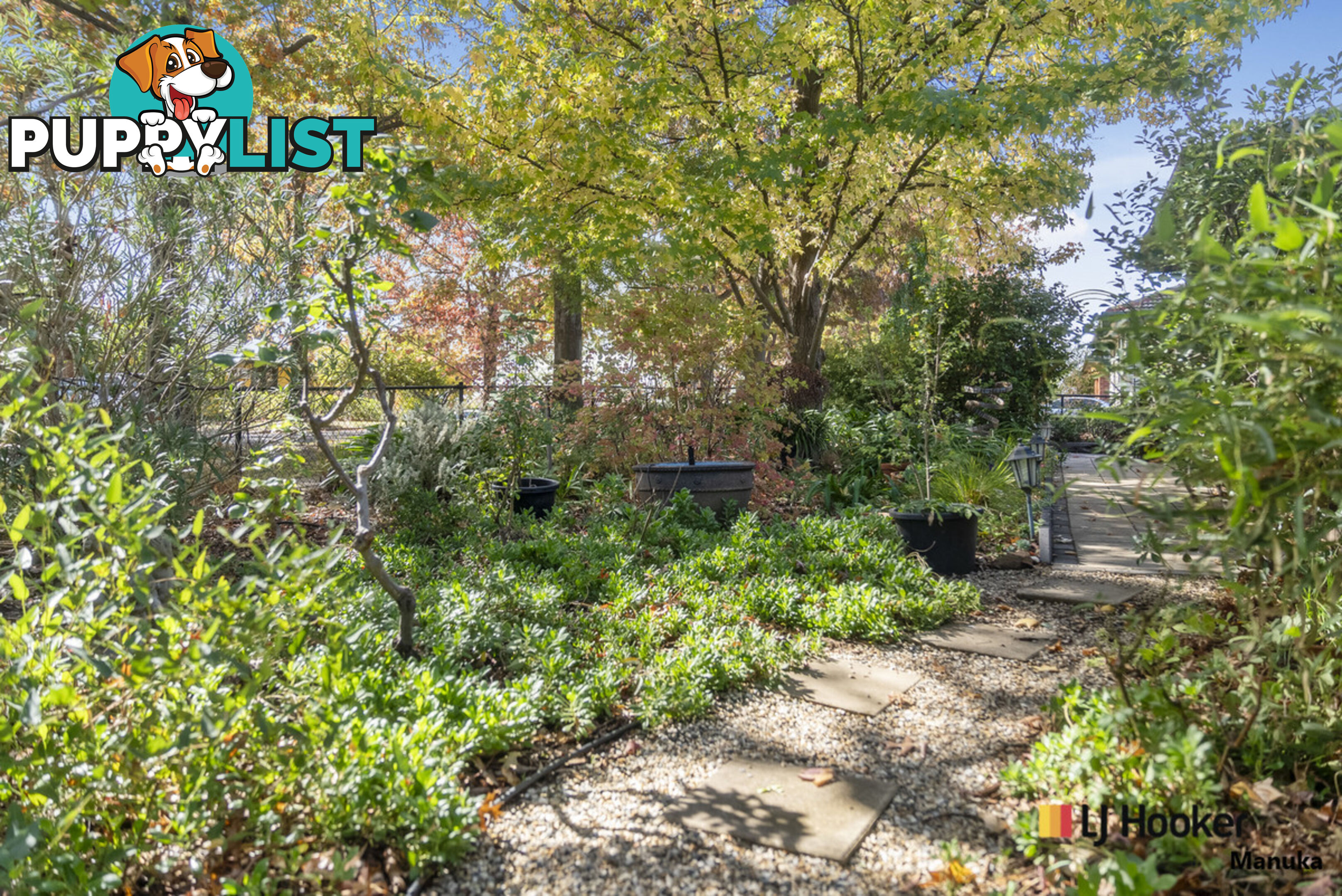 8 Warramoo Crescent NARRABUNDAH ACT 2604