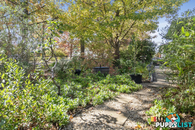 8 Warramoo Crescent NARRABUNDAH ACT 2604