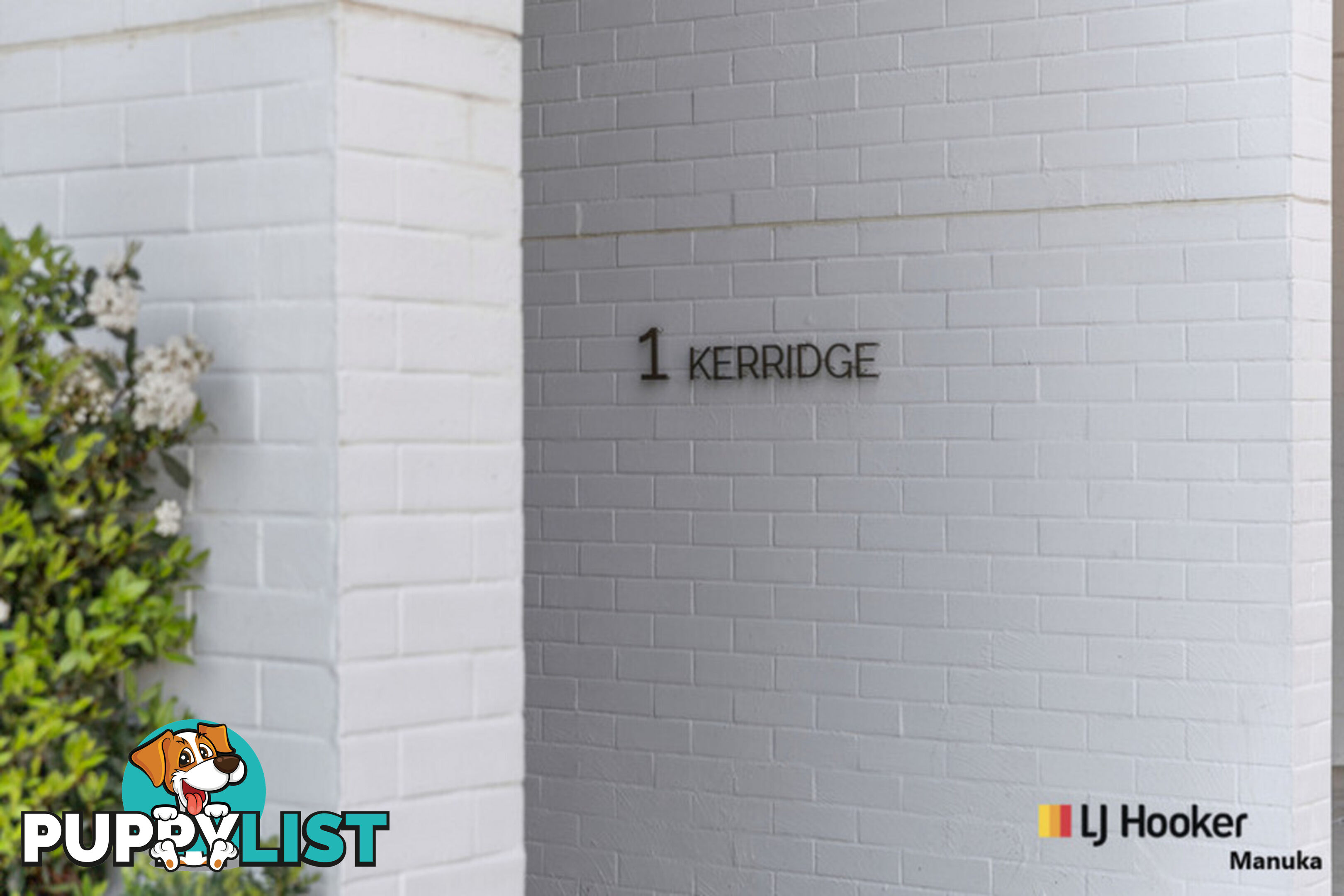12/1 Kerridge Street KINGSTON ACT 2604