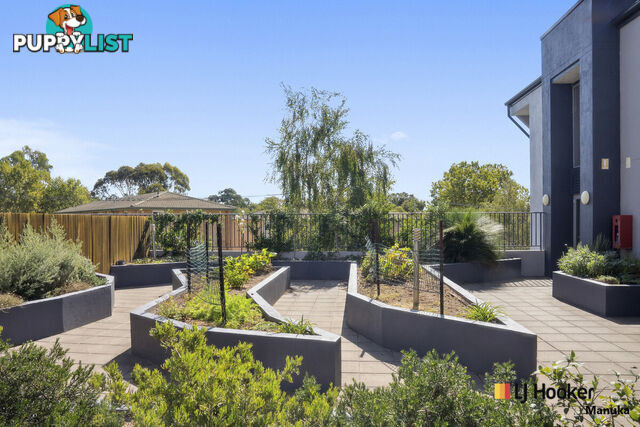 18/15 Strangways Street CURTIN ACT 2605
