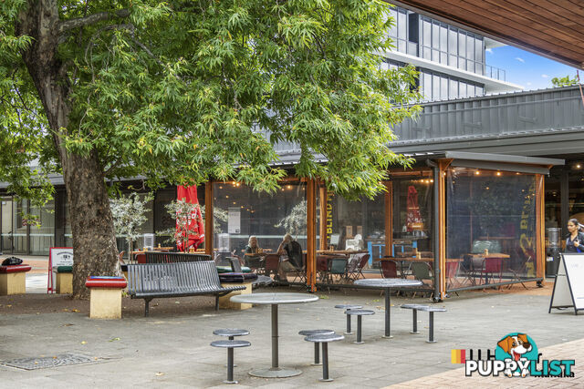 18/15 Strangways Street CURTIN ACT 2605