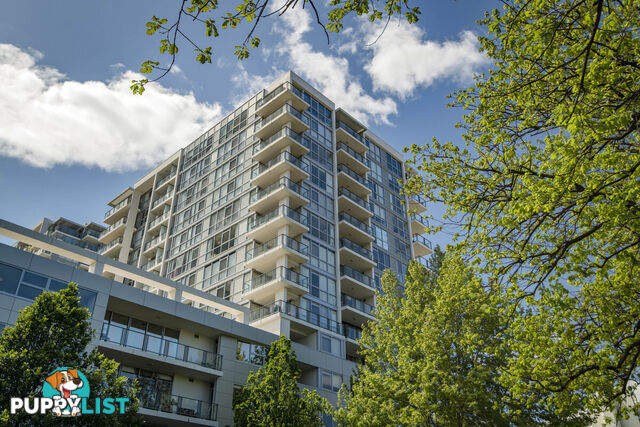 100/2 Edinburgh Avenue CITY ACT 2601