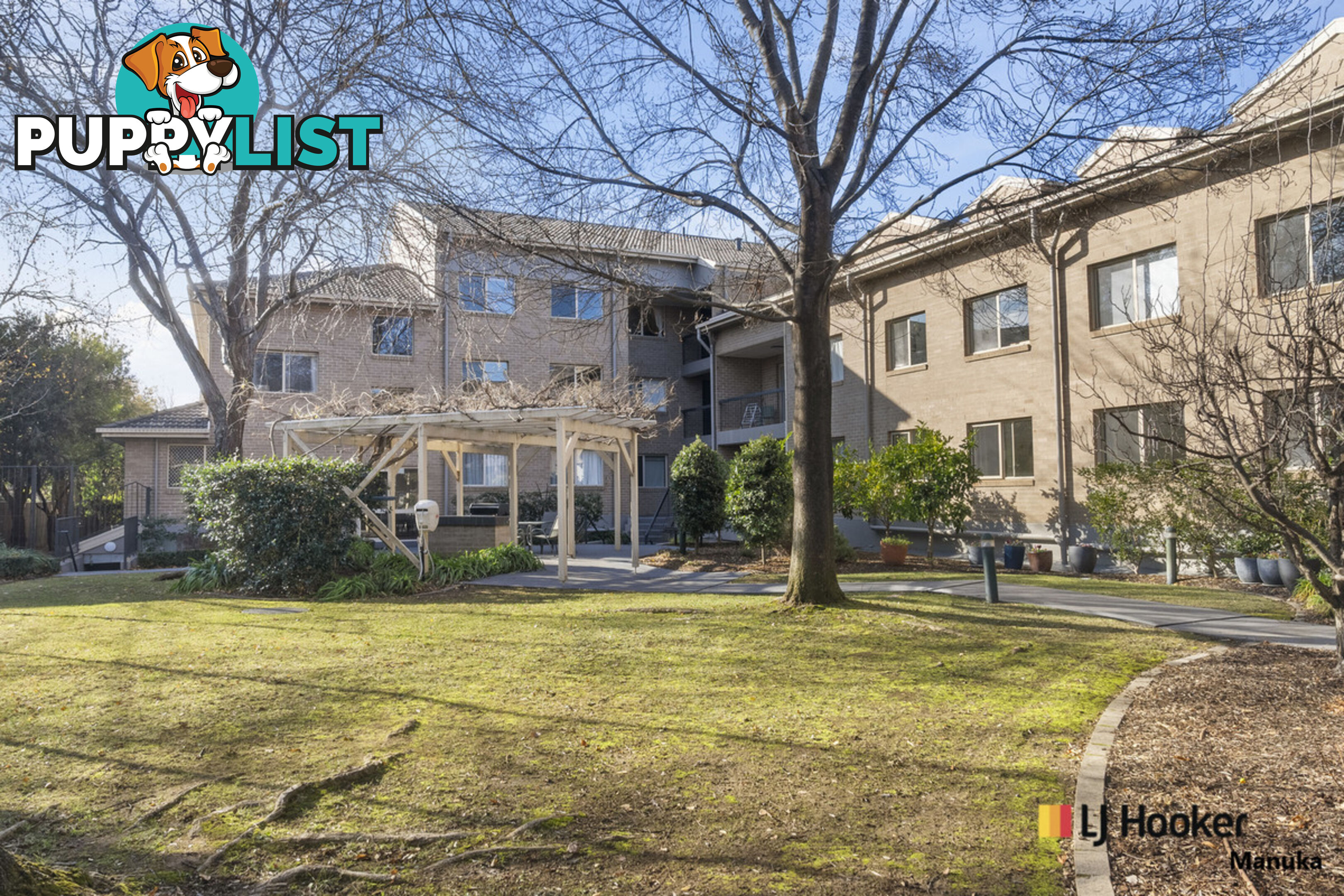 5/43 Ijong Street BRADDON ACT 2612