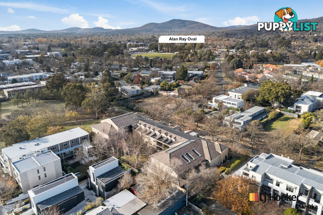 5/43 Ijong Street BRADDON ACT 2612
