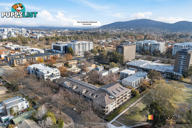 5/43 Ijong Street BRADDON ACT 2612