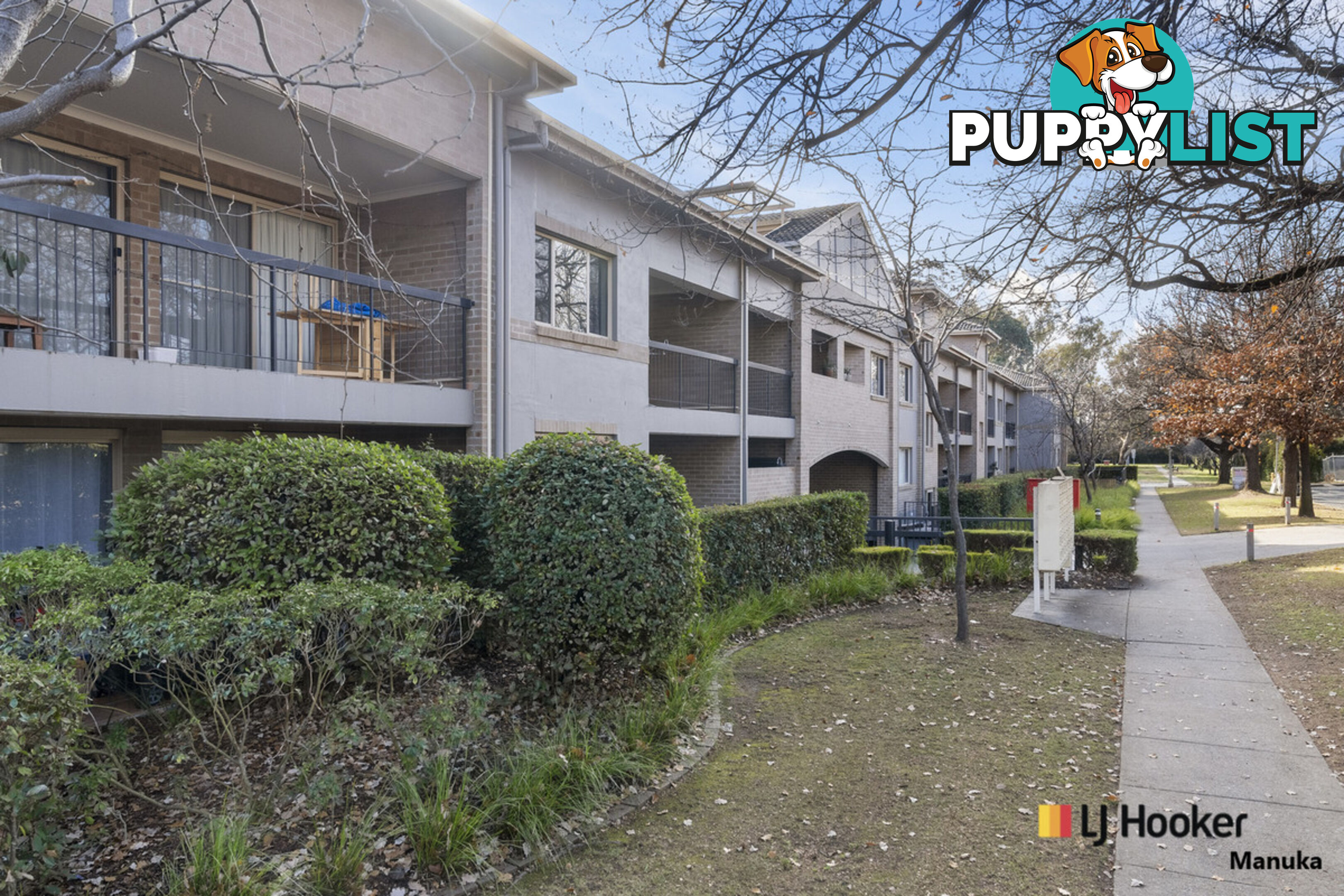 5/43 Ijong Street BRADDON ACT 2612