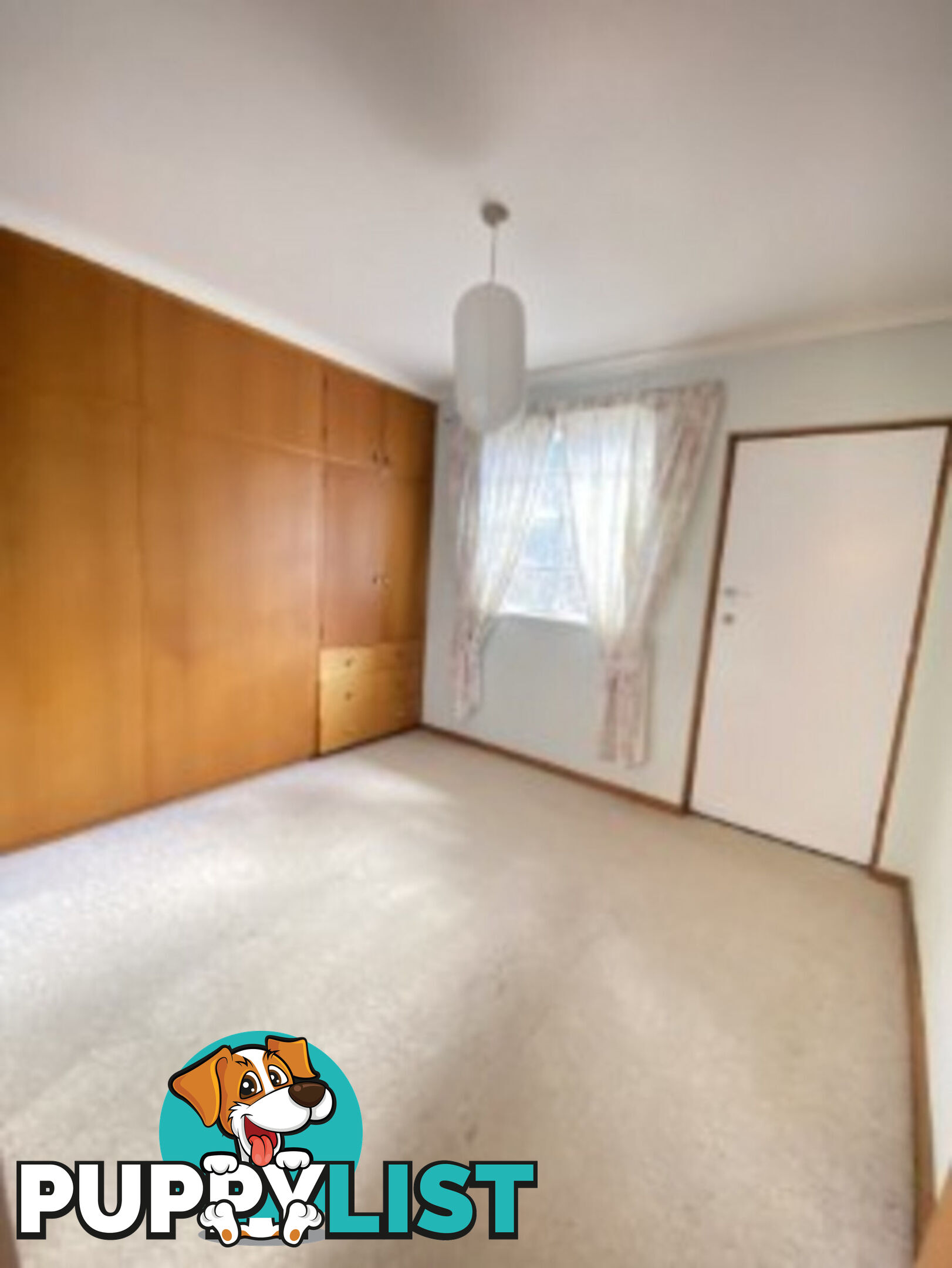8 Wells Gardens, GRIFFITH ACT 2603